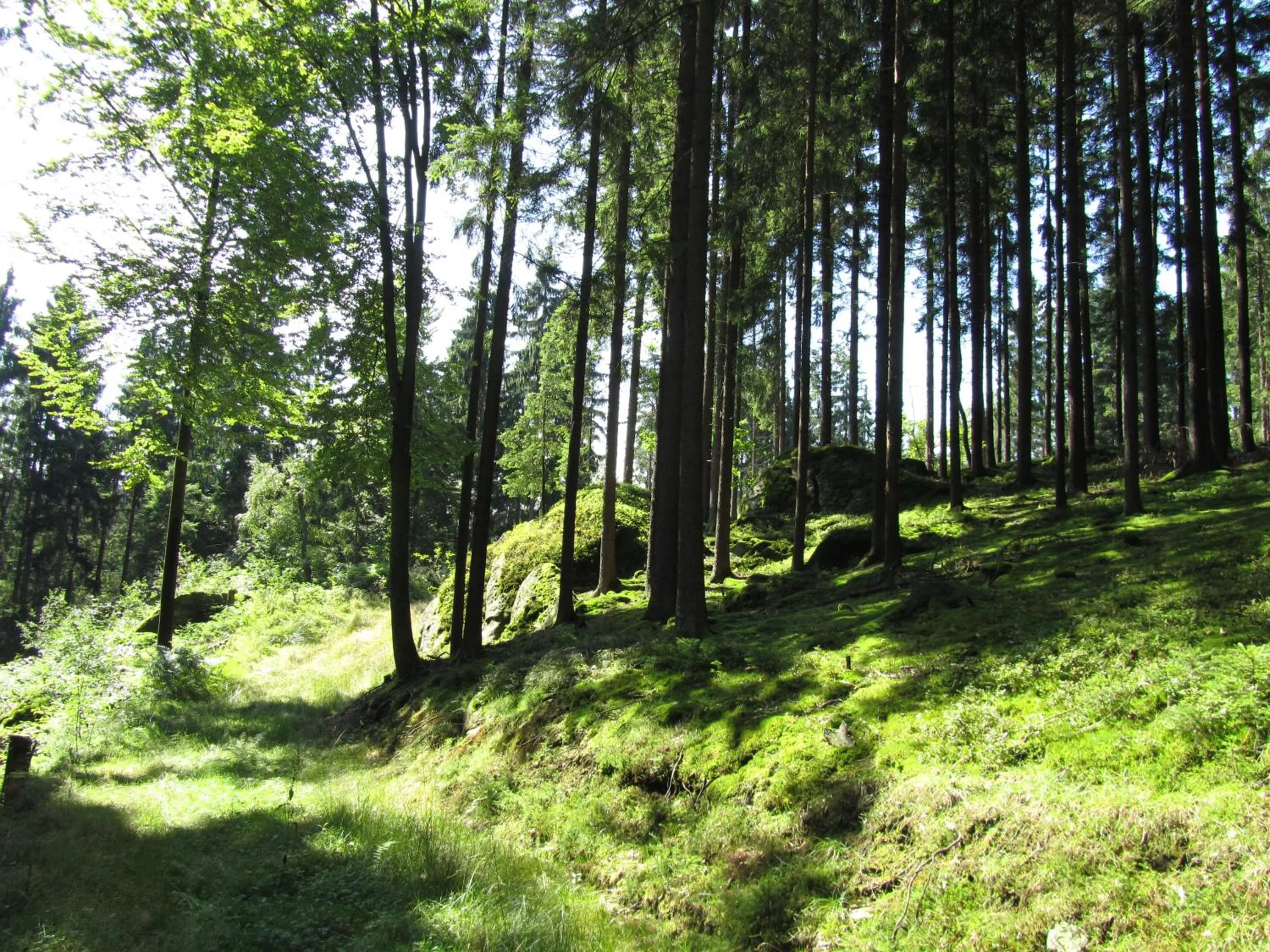 Natural landscape in Ferienhaus Zopfhäusl