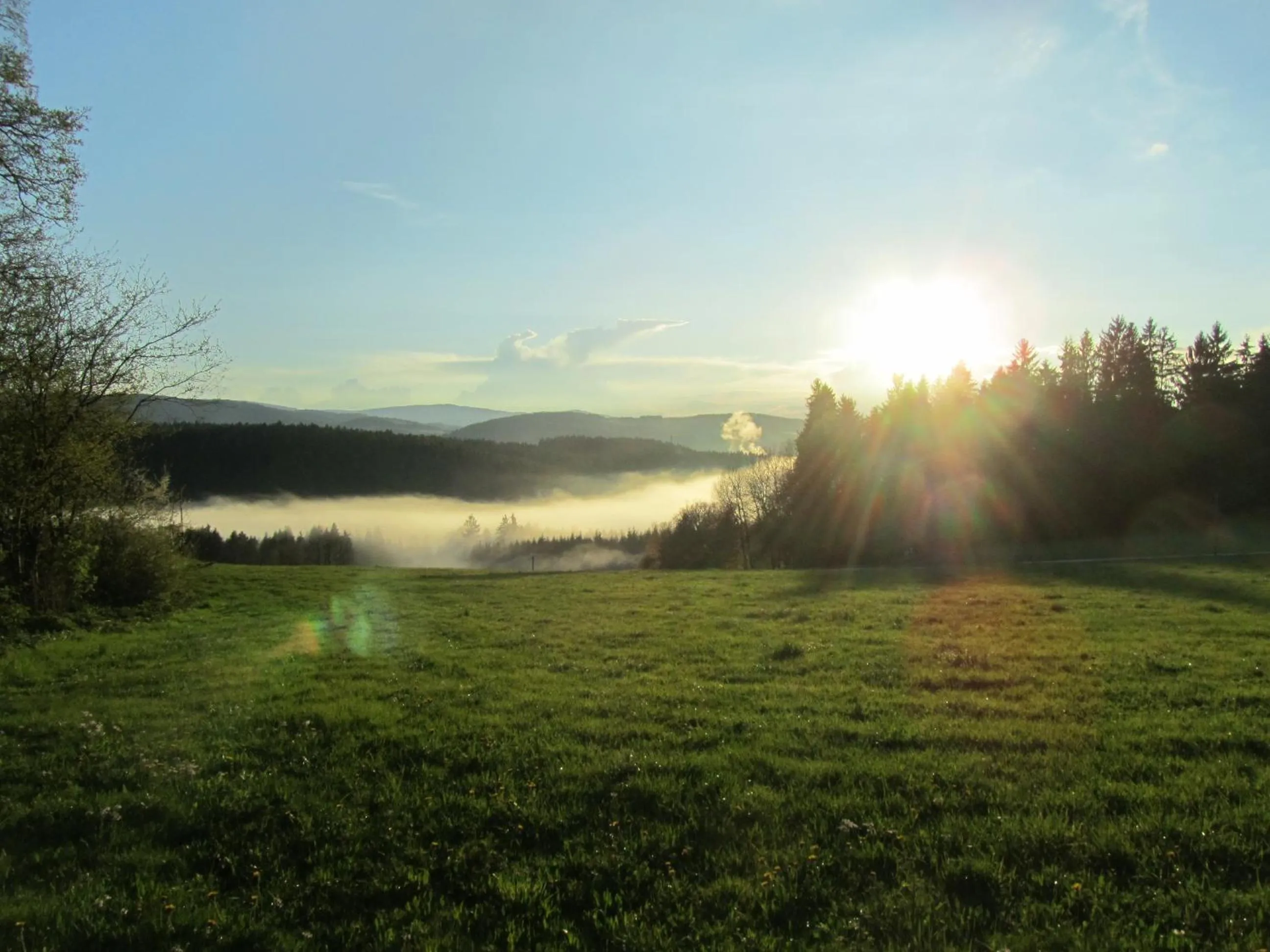 Spring in Ferienhaus Zopfhäusl