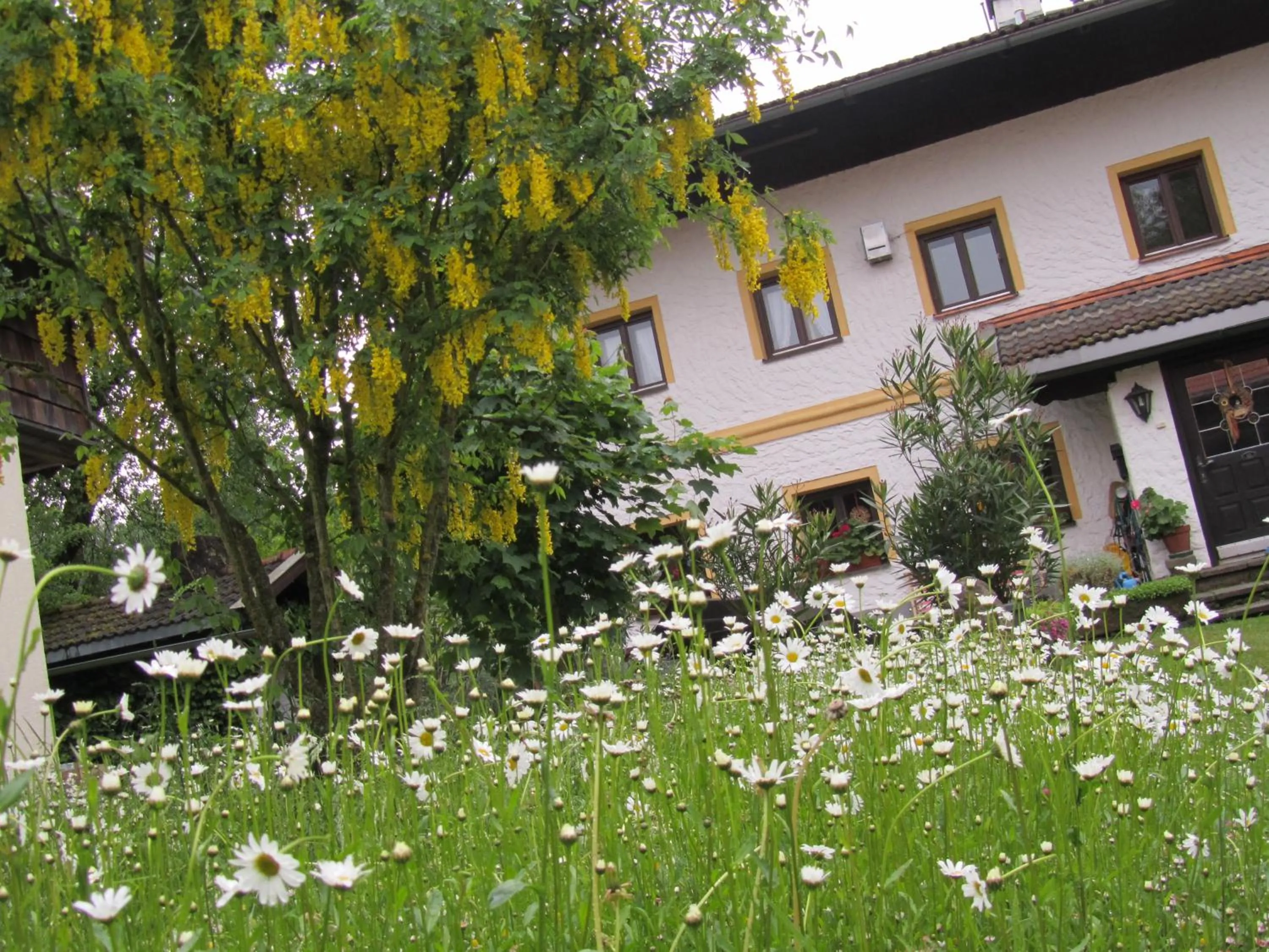 Garden in Ferienhaus Zopfhäusl