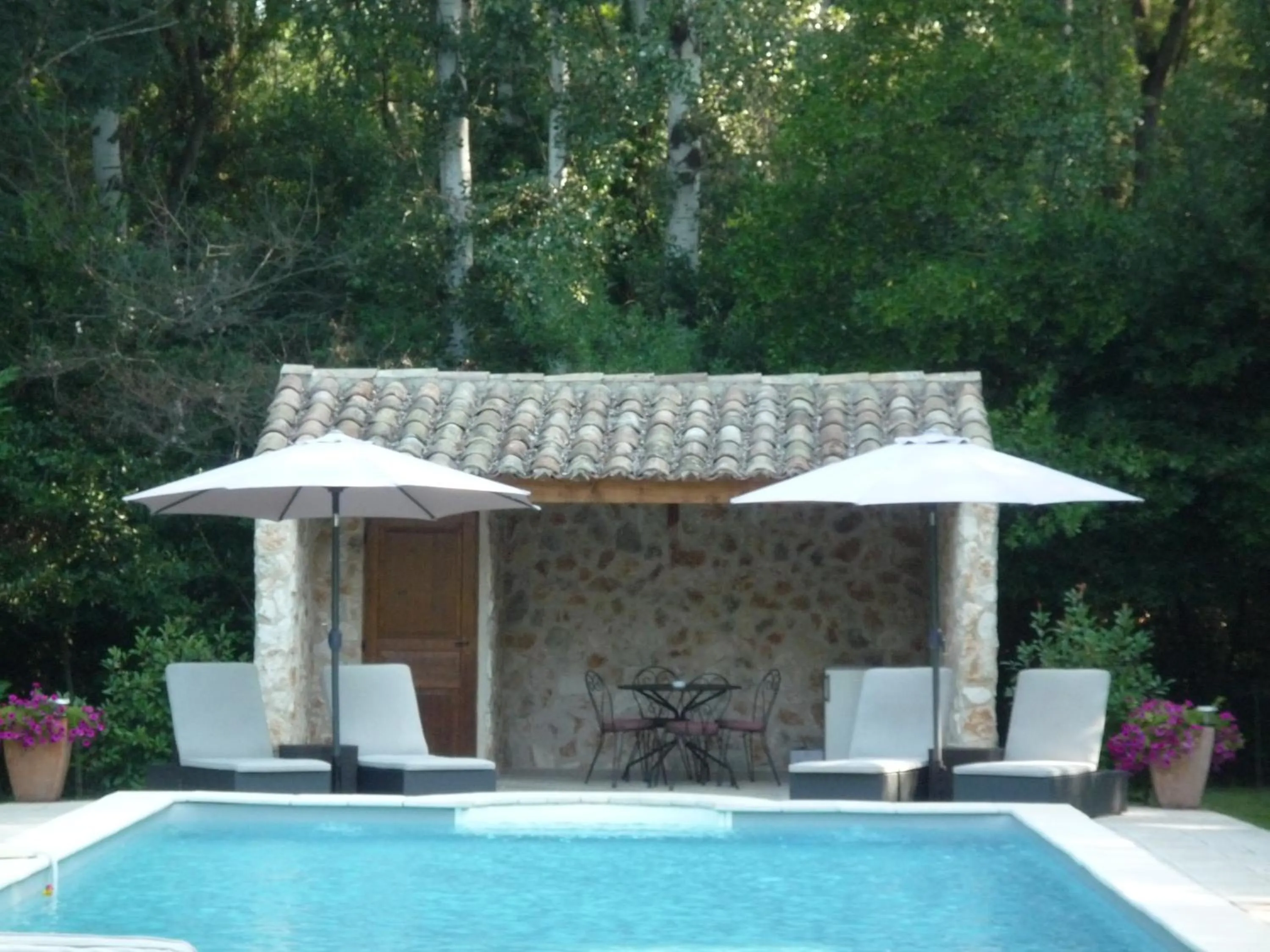 Pool view in Mas de l'ile