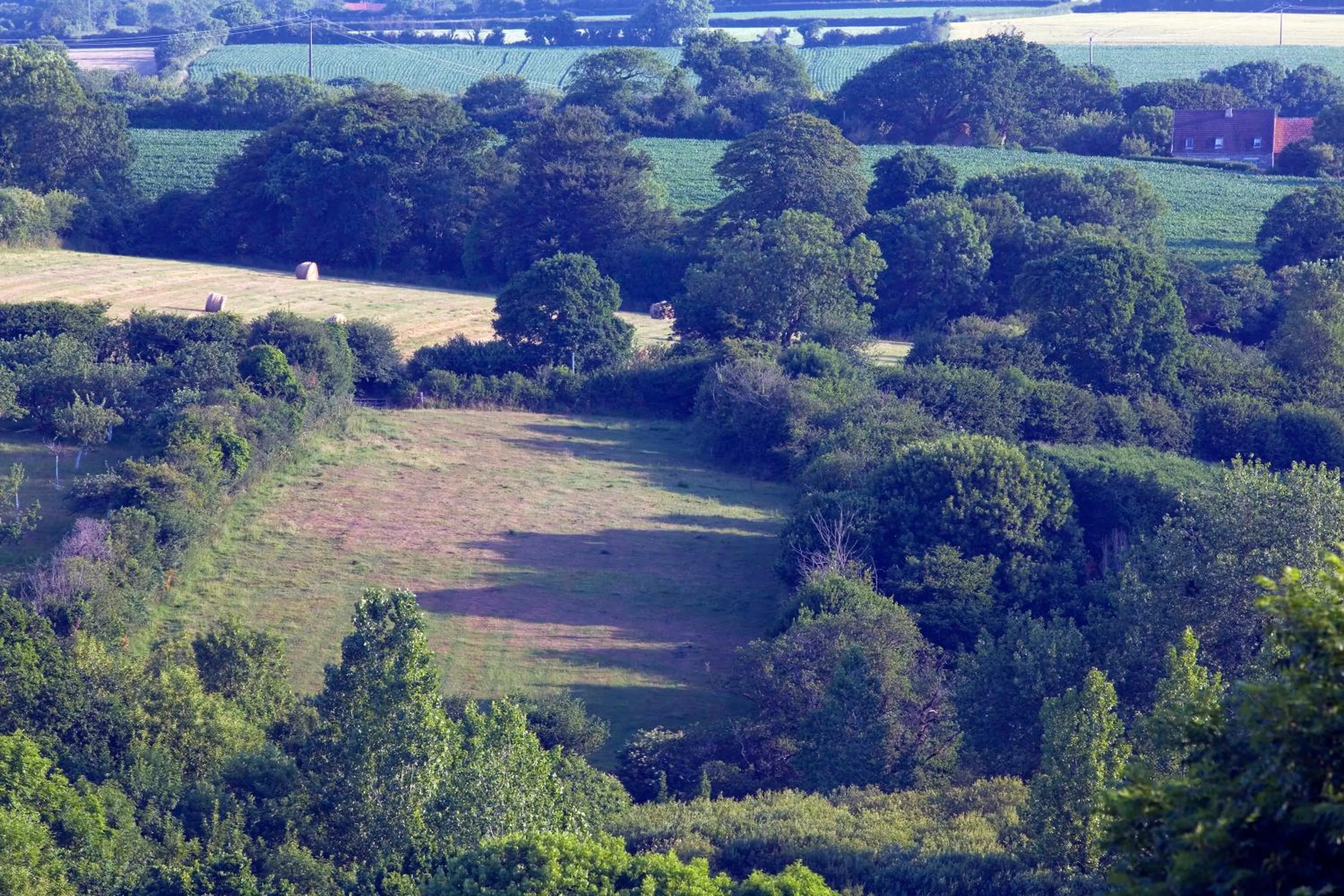 Area and facilities in Hôtel Traiteur Les Ormes, The Originals Relais