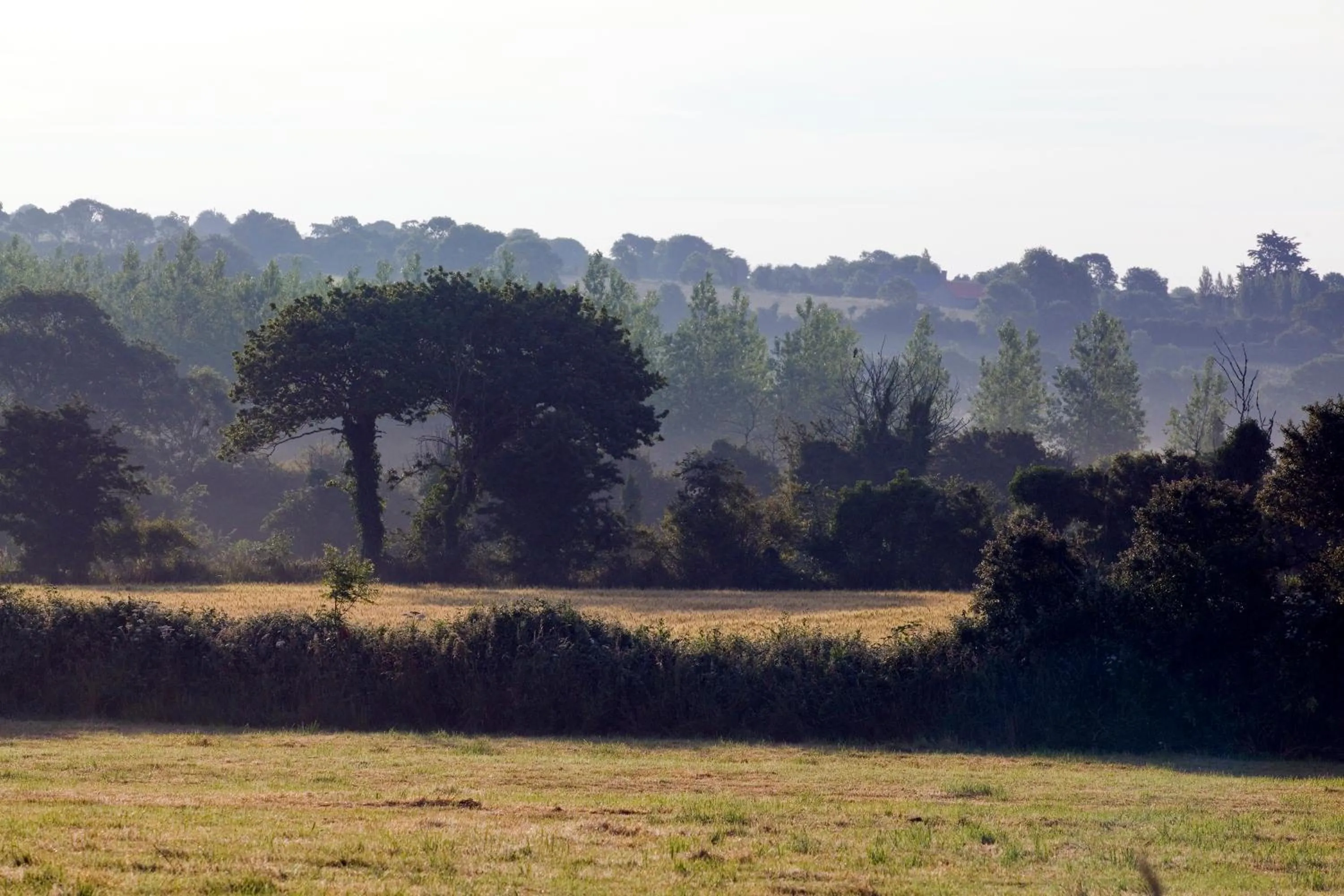 Area and facilities in Hôtel Traiteur Les Ormes, The Originals Relais