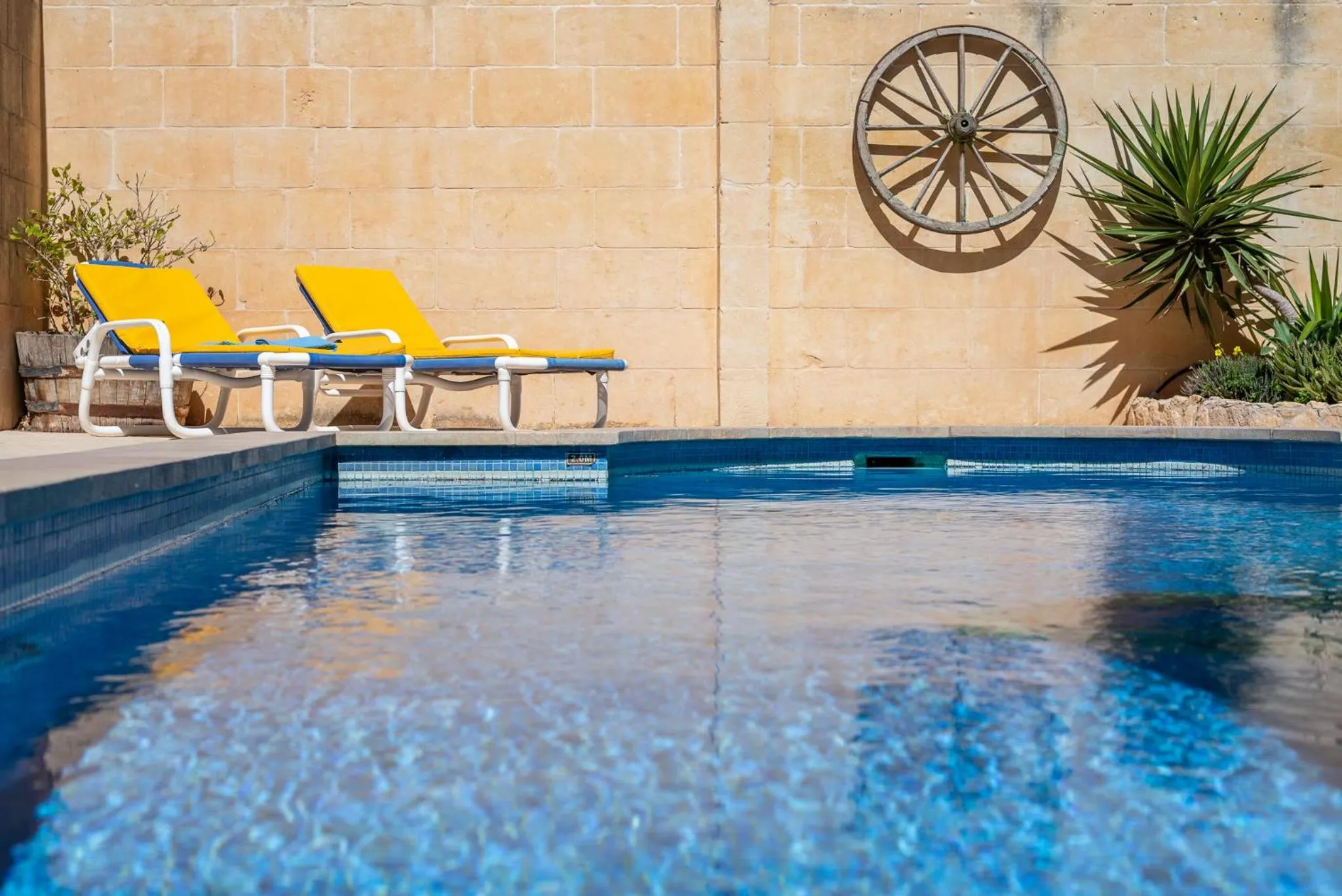 Garden in Mood Farmhouse Mythology