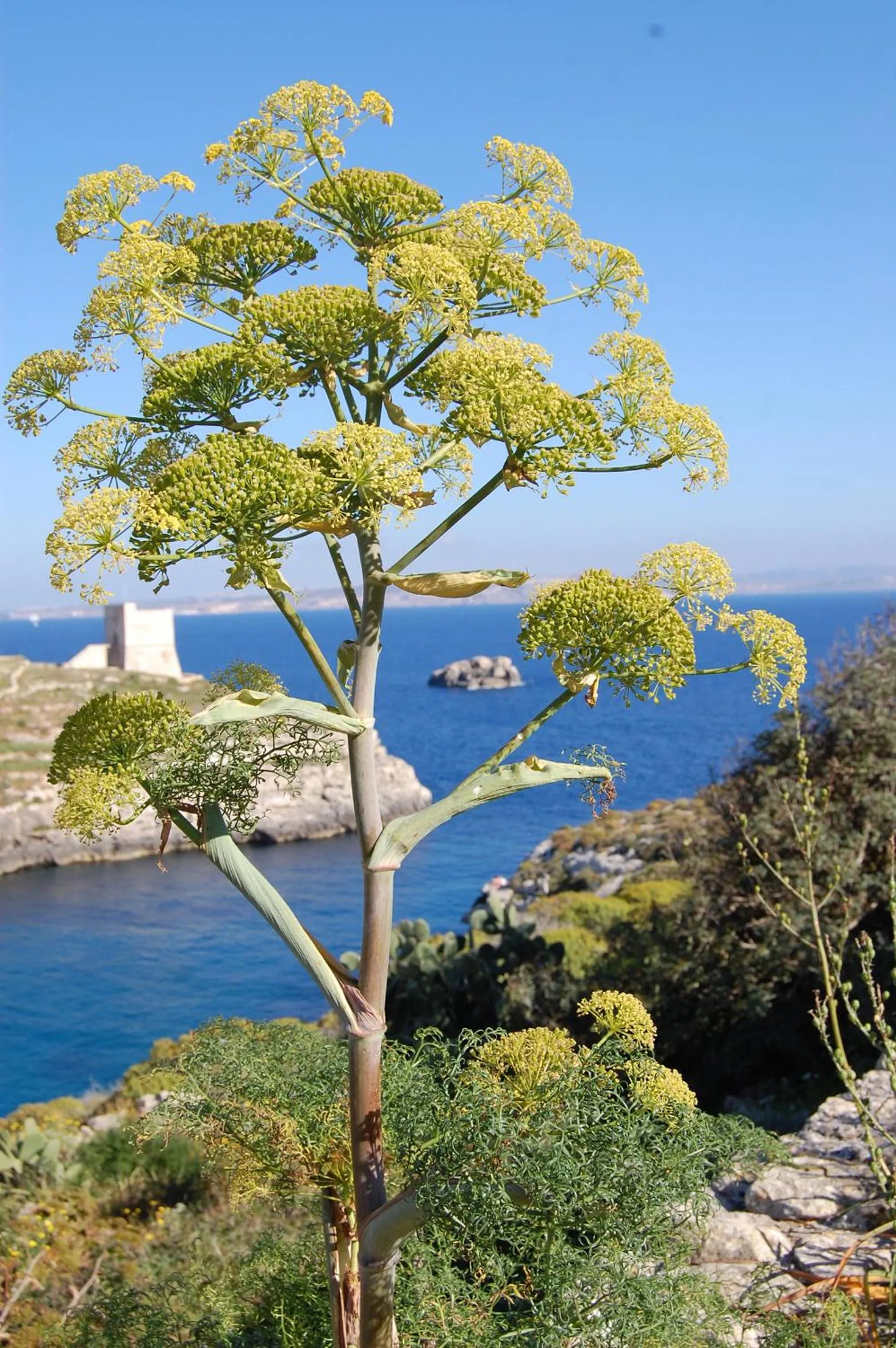 Natural landscape in Mood Farmhouse Mythology