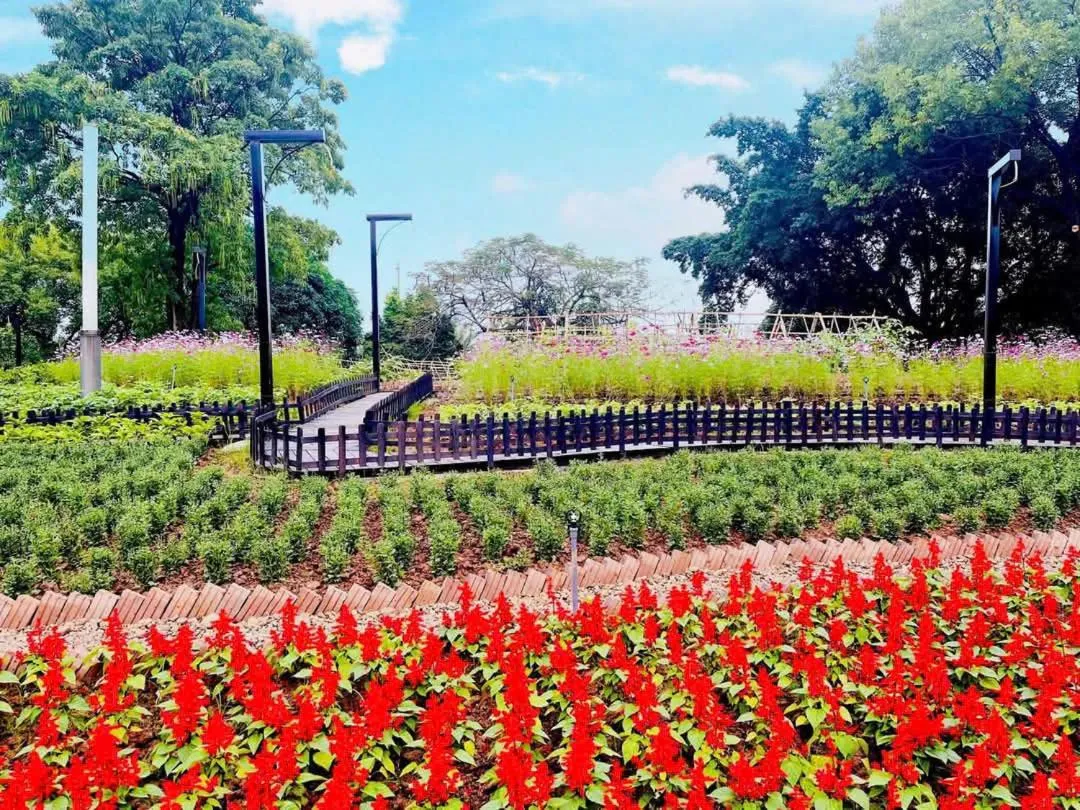 NCC Garden Villas - NCC Hotel