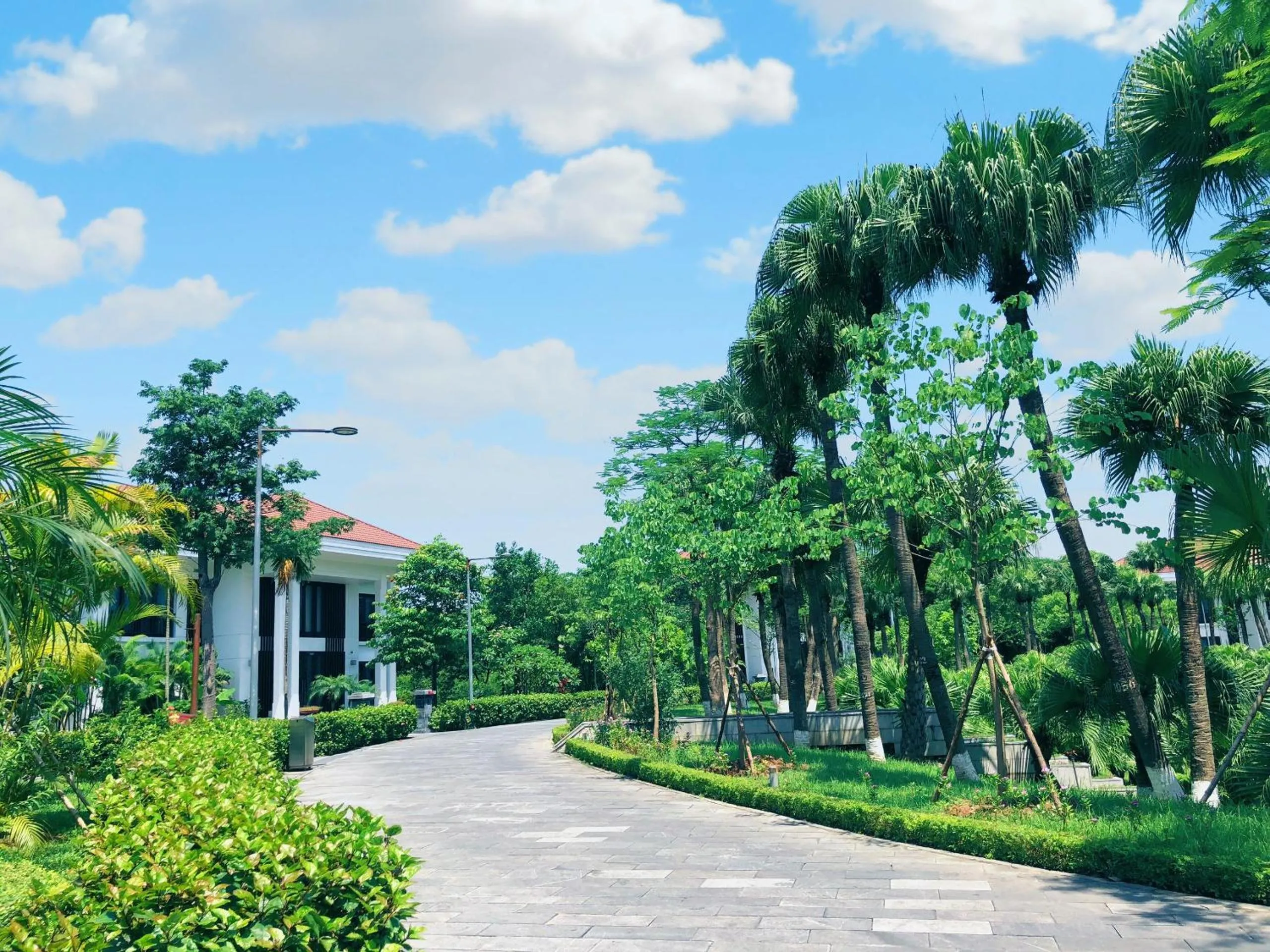 Garden in NCC Garden Villas - NCC Hotel