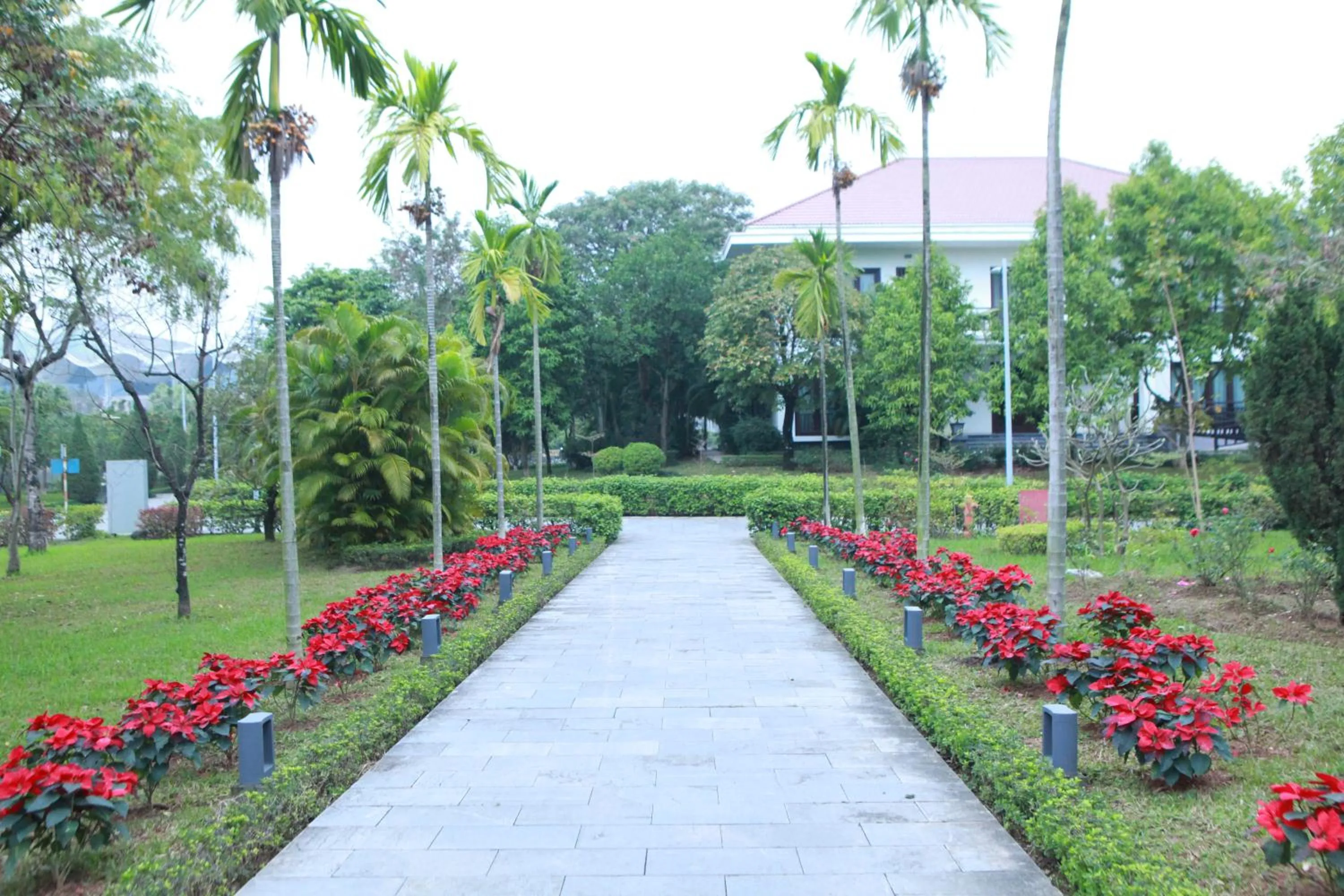 Garden in NCC Garden Villas - NCC Hotel