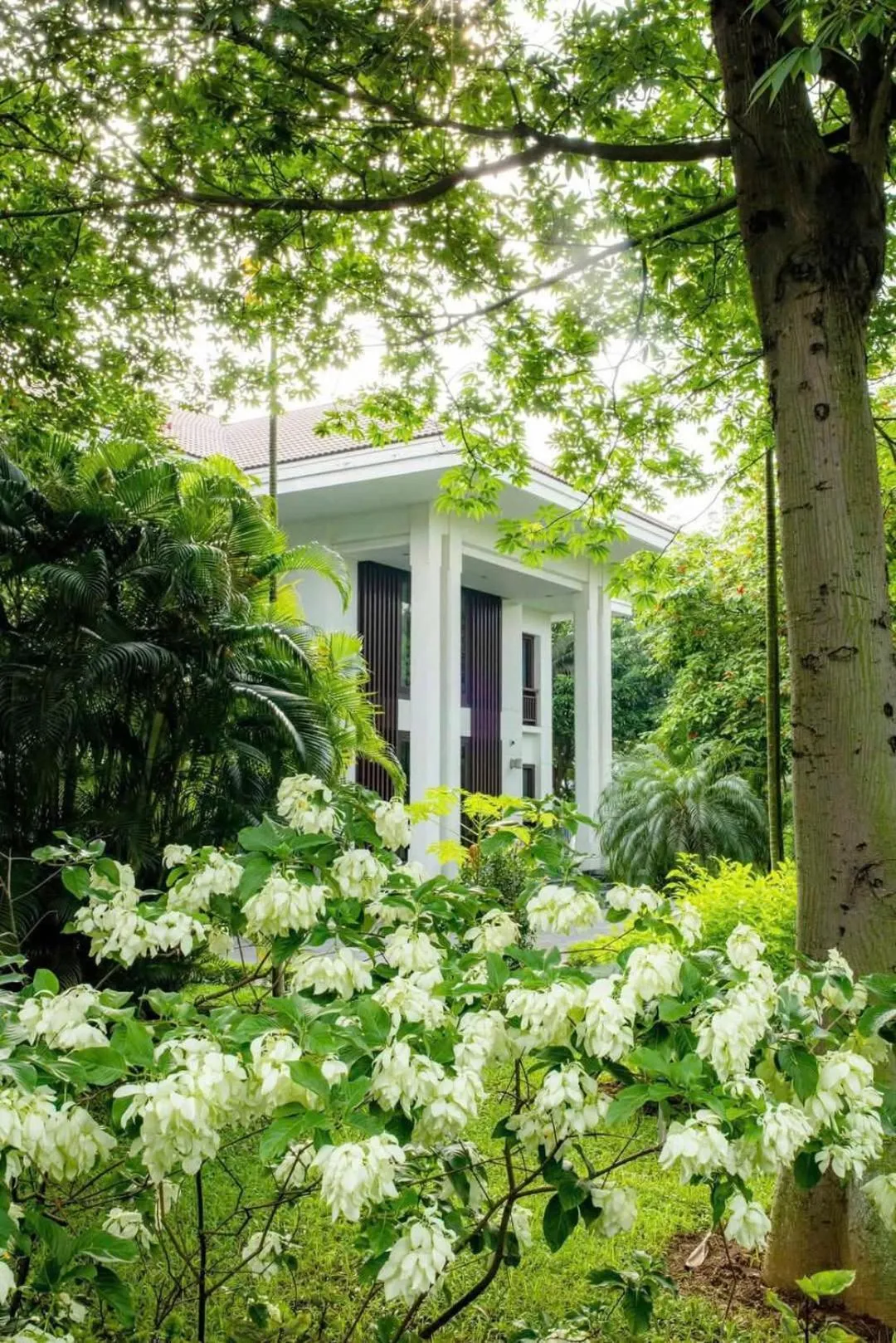 NCC Garden Villas - NCC Hotel