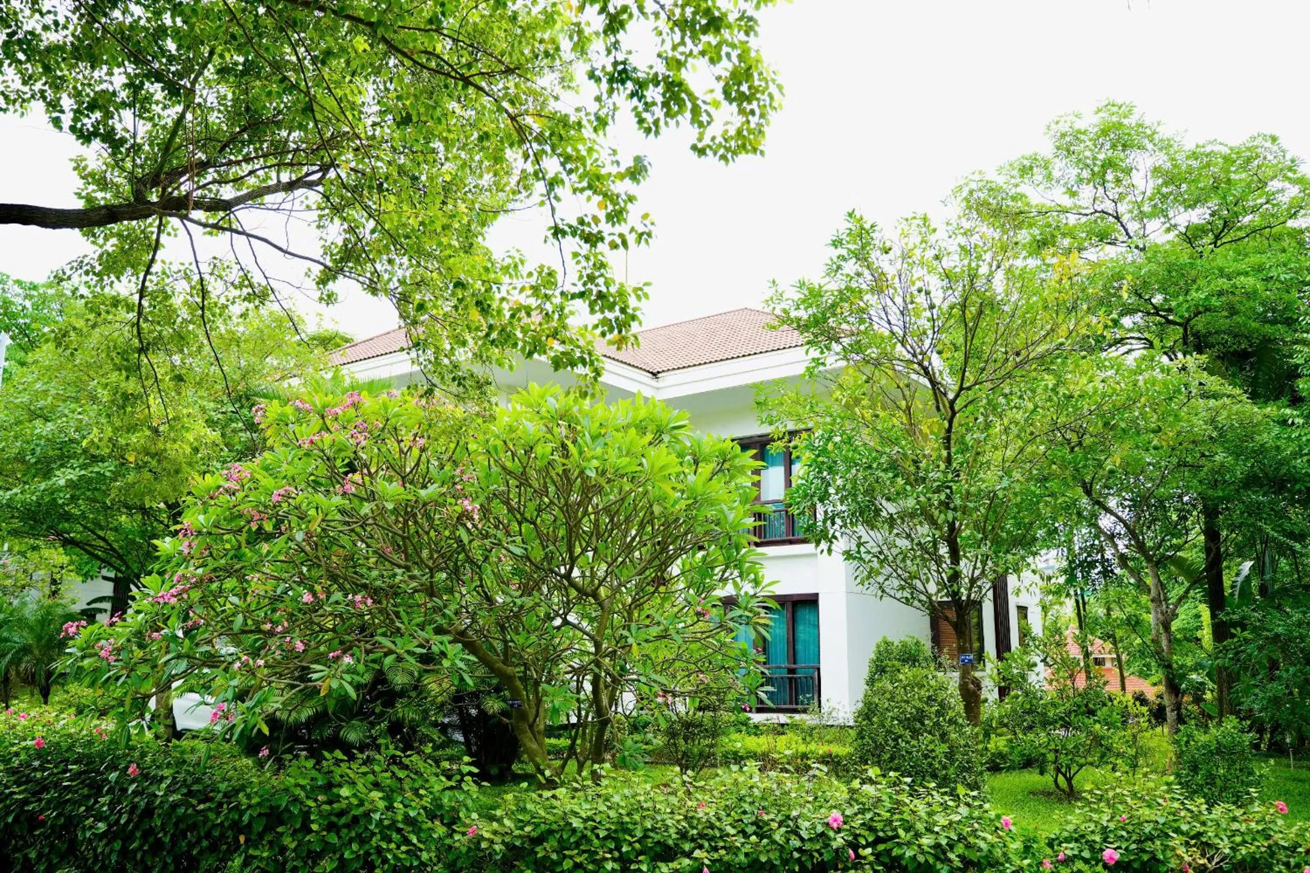 NCC Garden Villas - NCC Hotel