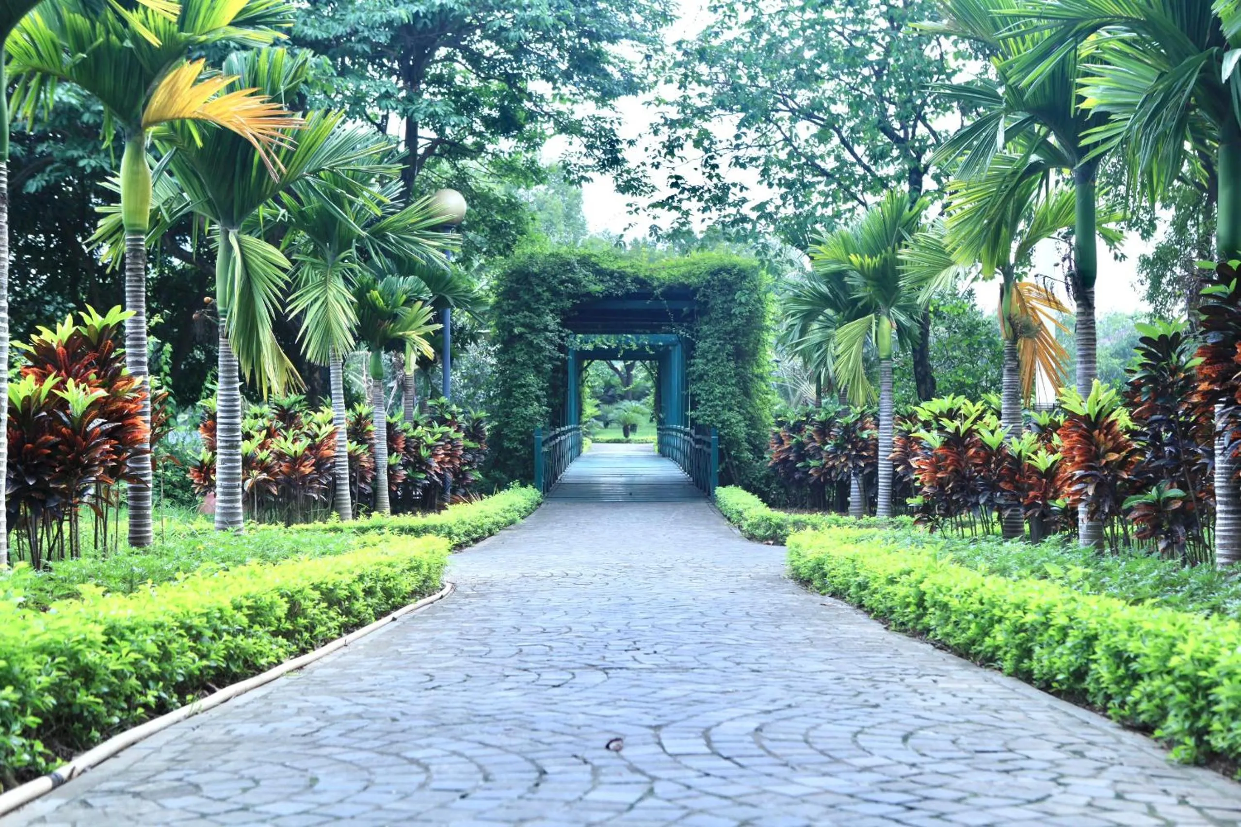 NCC Garden Villas - NCC Hotel