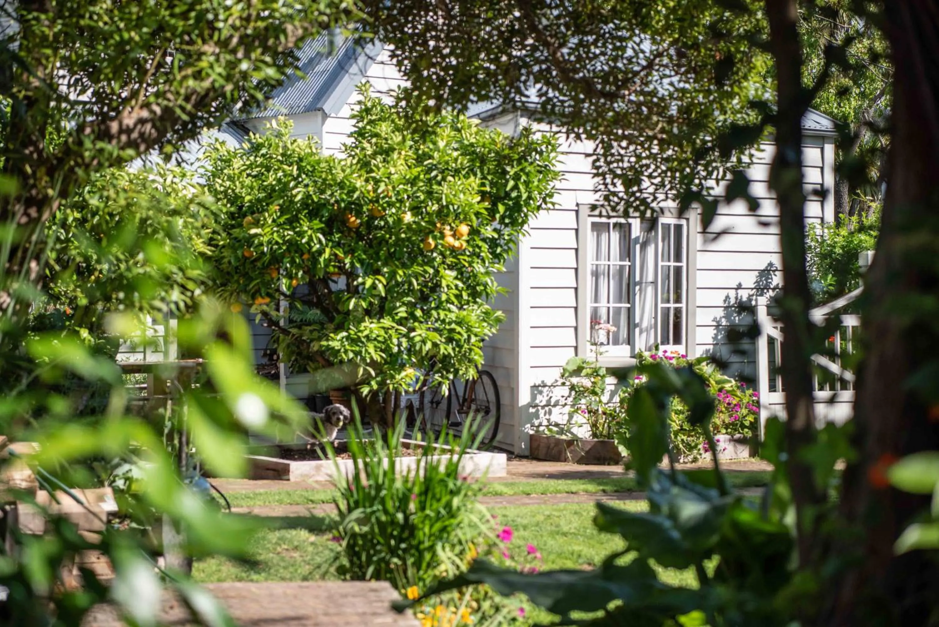 Facade/entrance in French Bay House