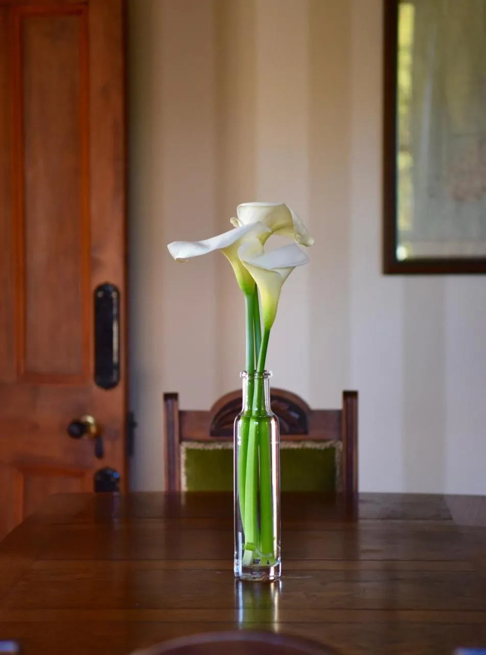 Decorative detail in French Bay House