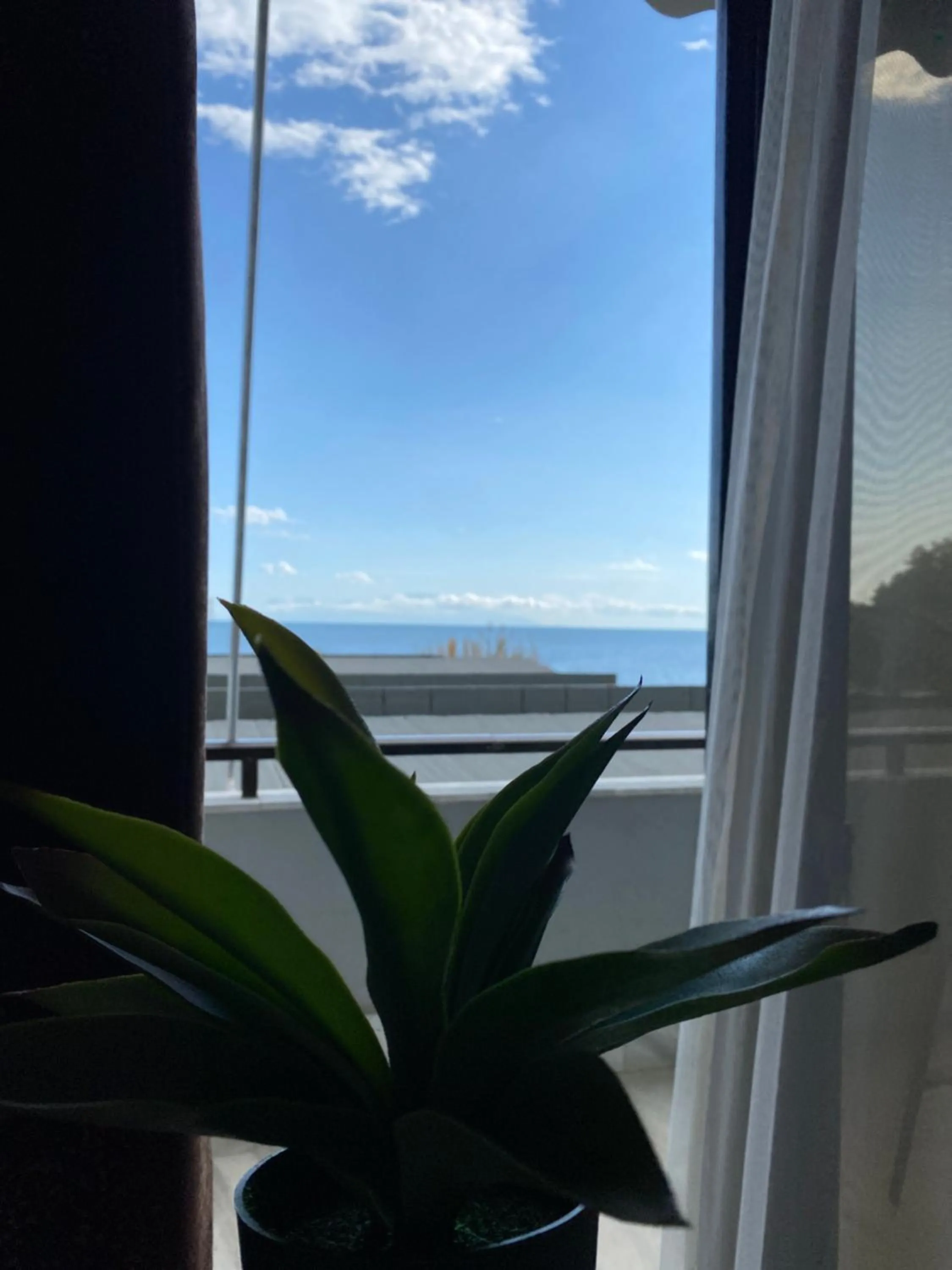 Balcony/Terrace in Alexander Apartments