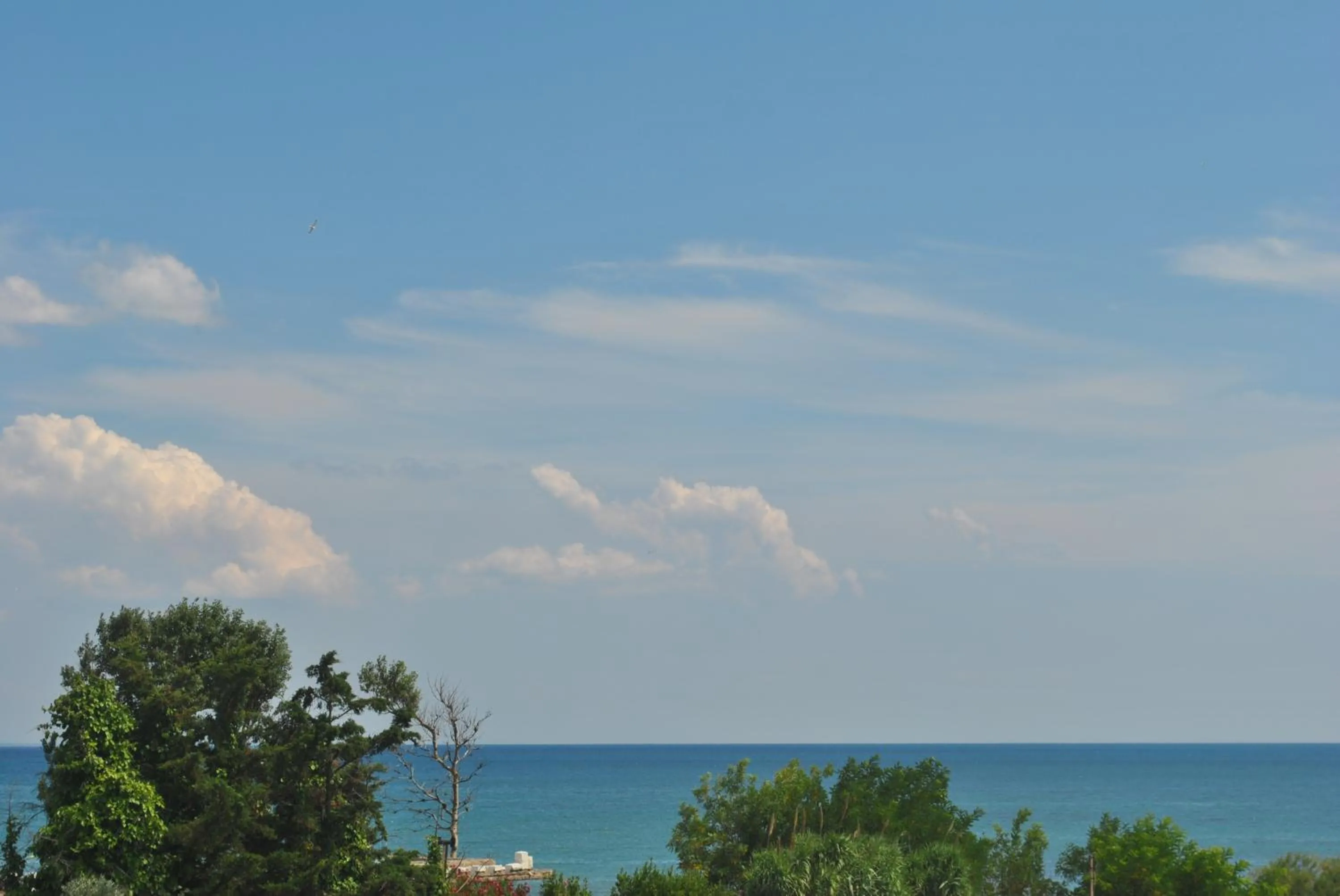 Natural landscape in Alexander Apartments