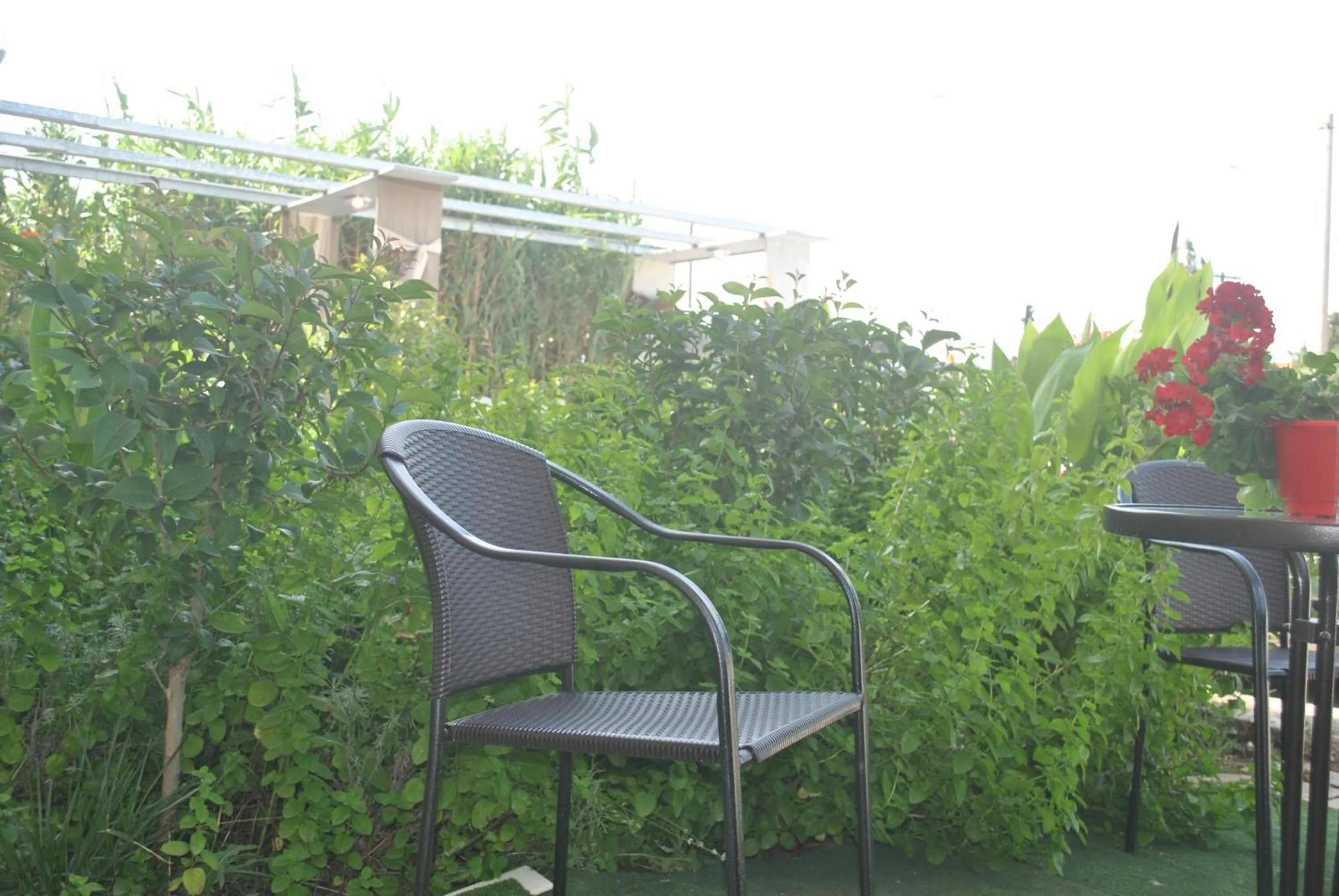 Patio in Alexander Apartments
