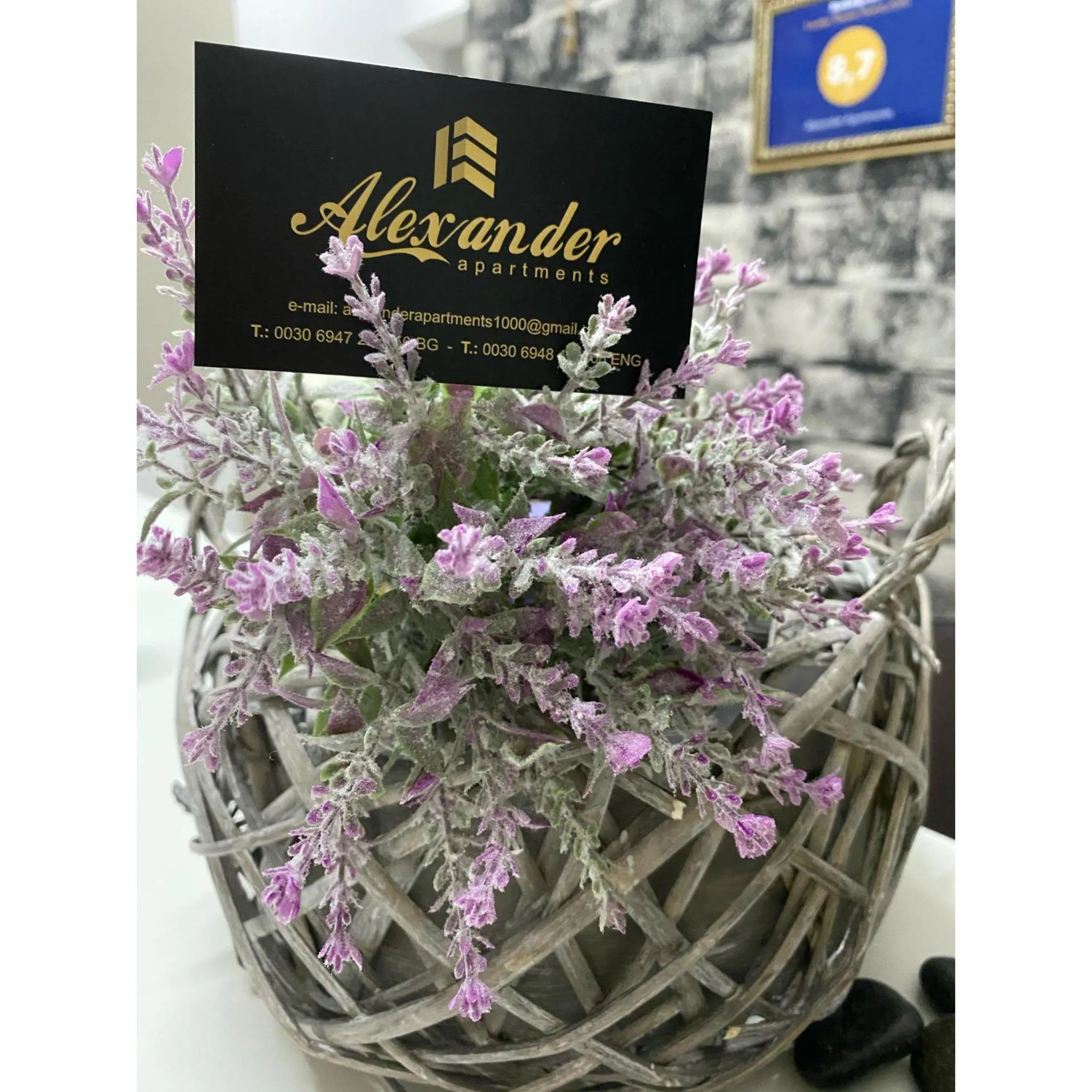 Property logo or sign in Alexander Apartments