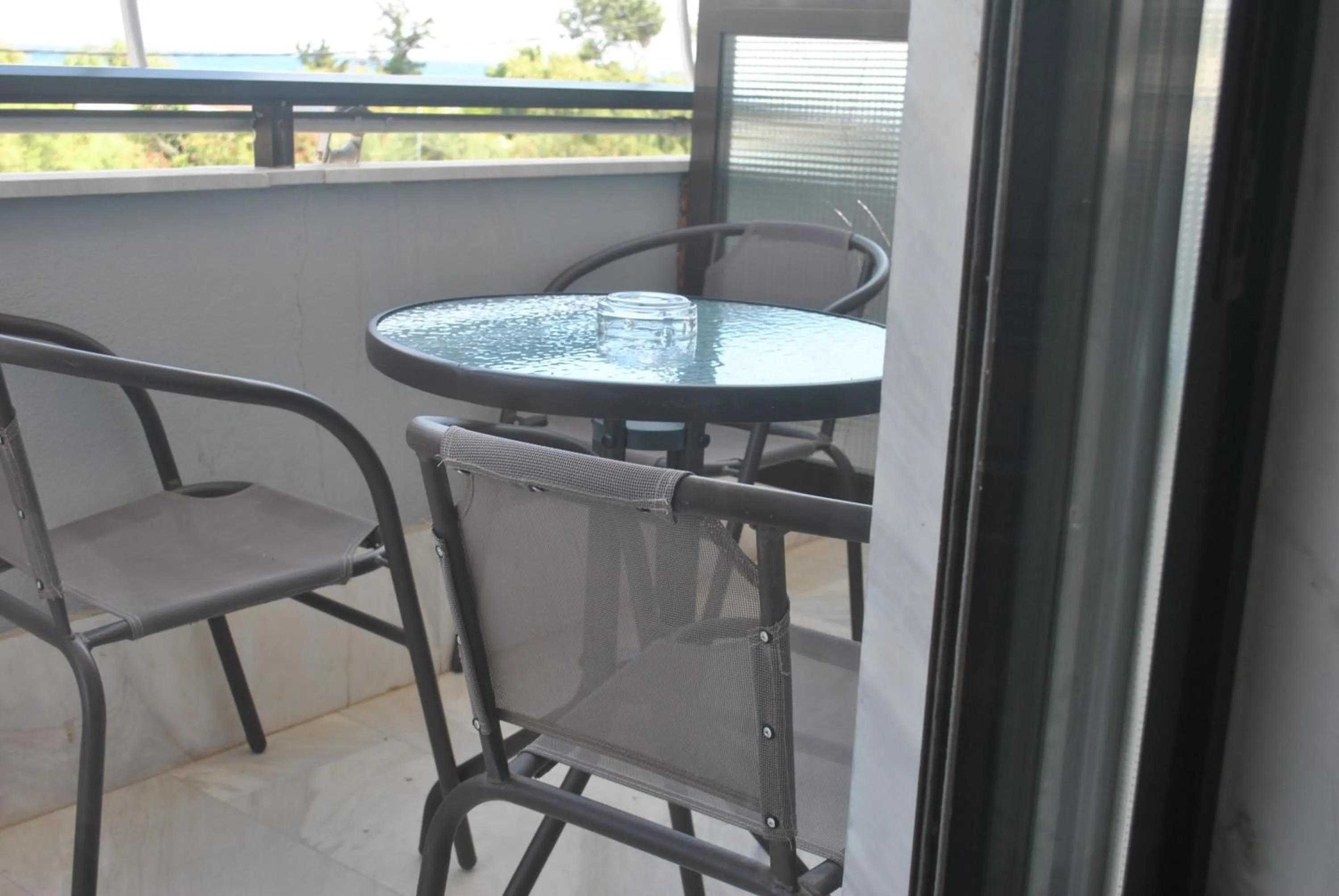 Balcony/Terrace in Alexander Apartments