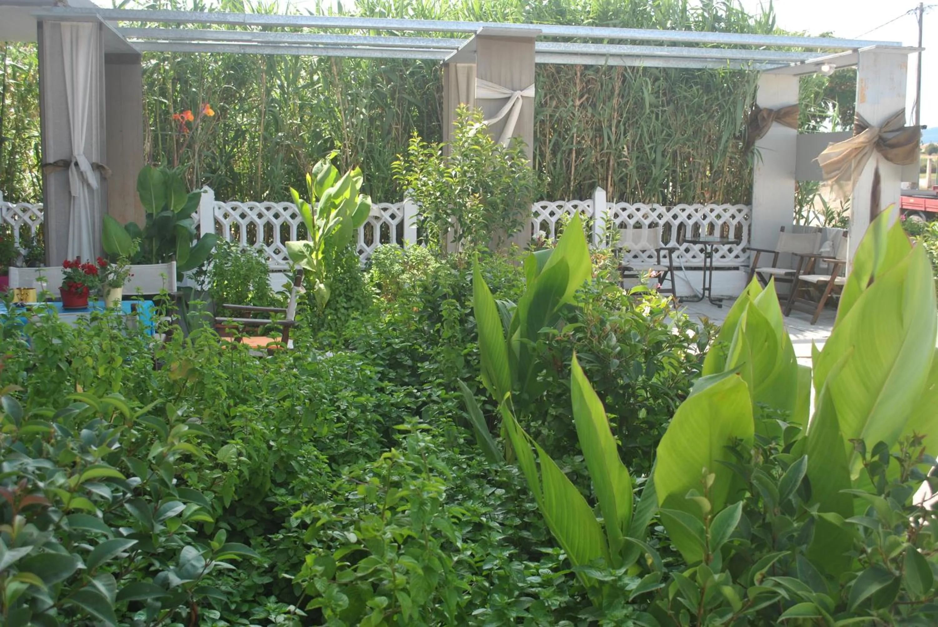 Patio in Alexander Apartments