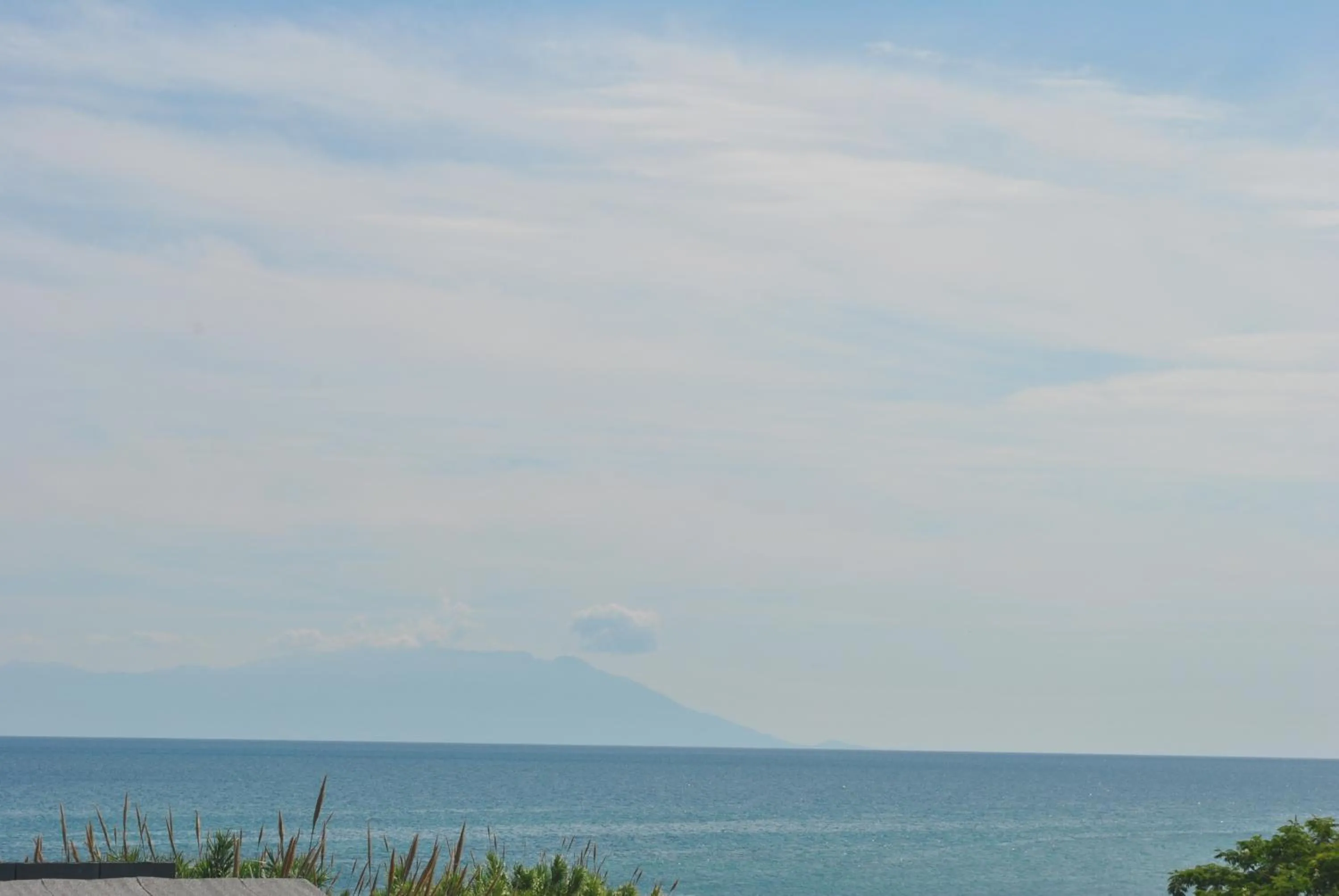 Natural landscape in Alexander Apartments