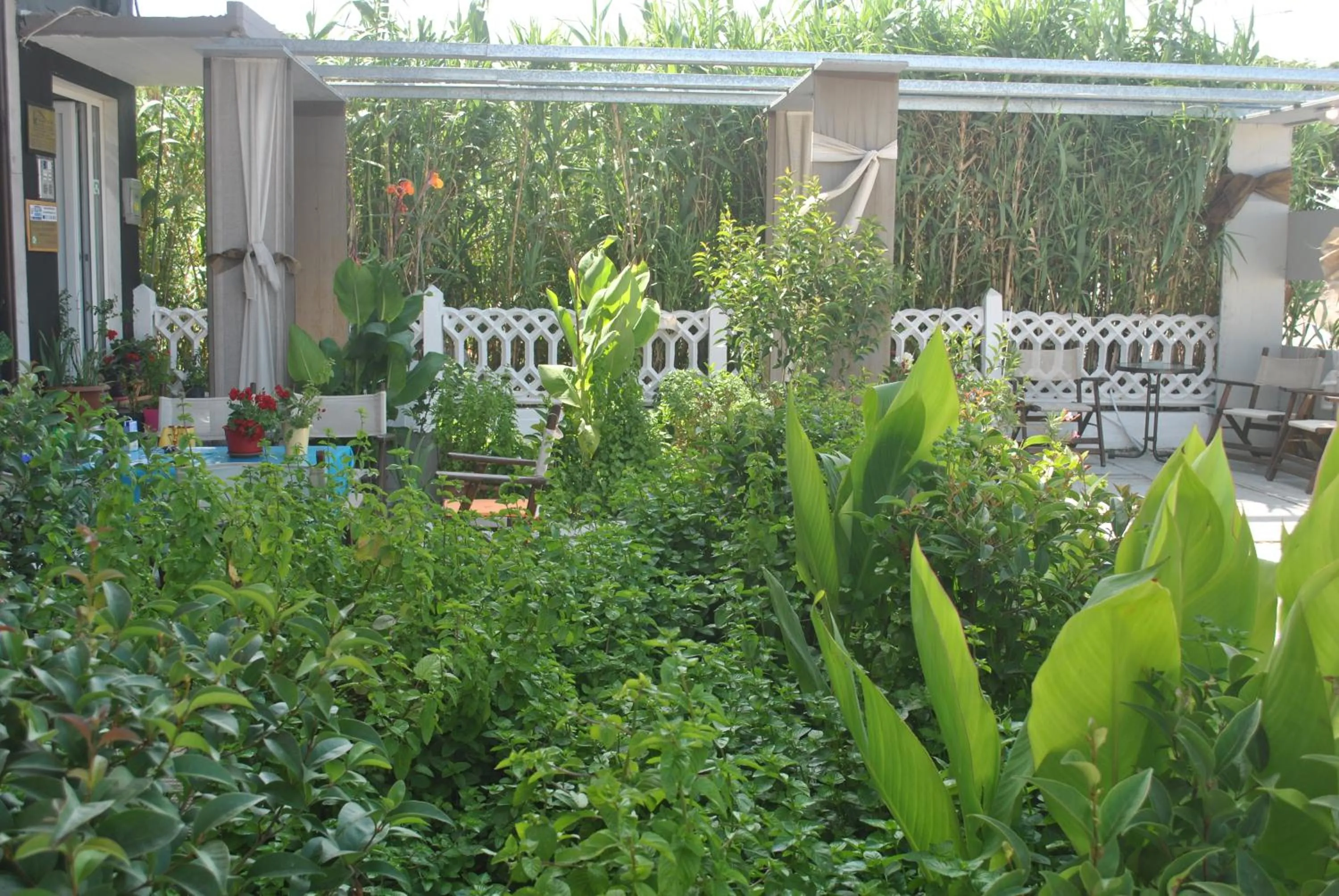 Patio in Alexander Apartments