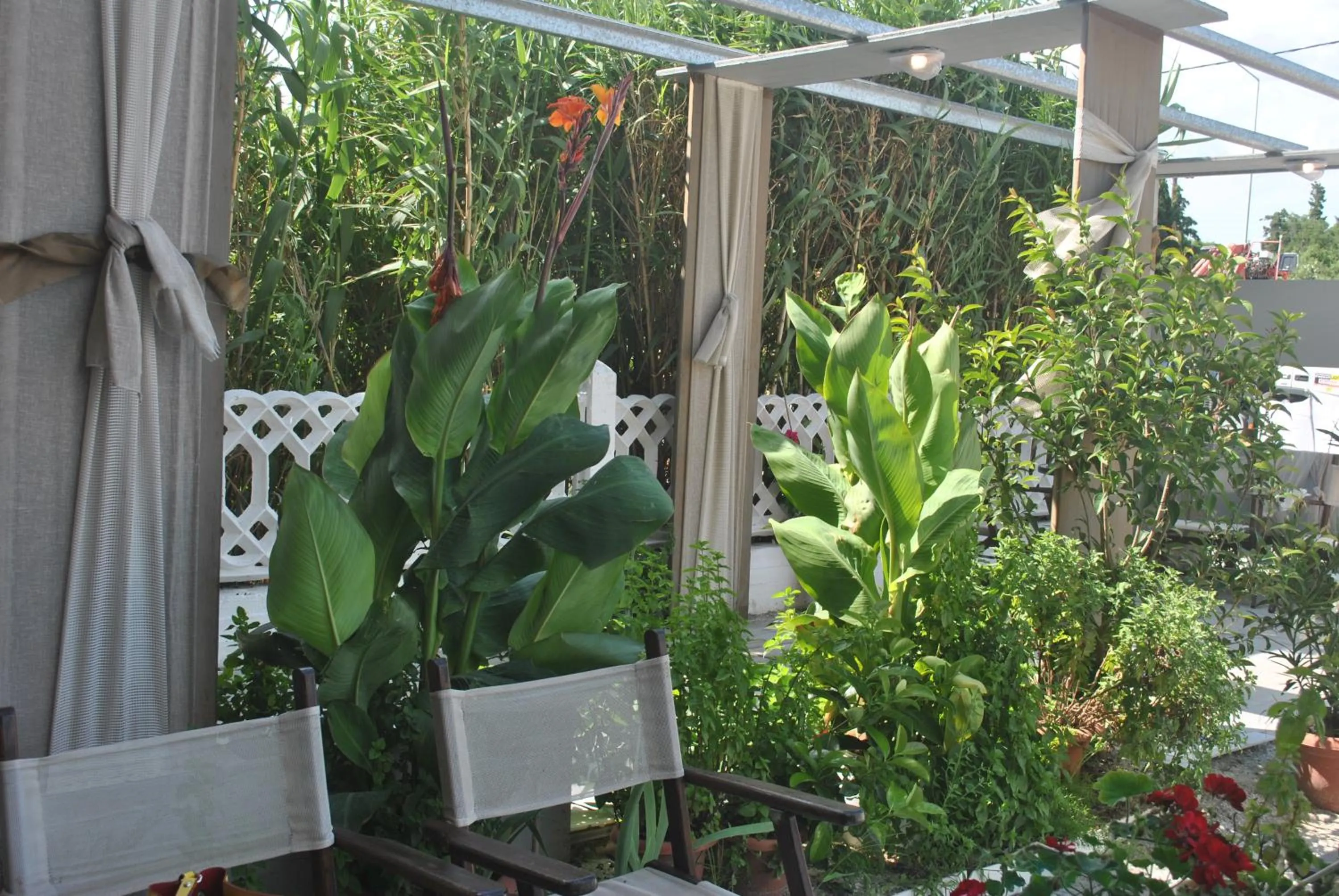 Patio in Alexander Apartments