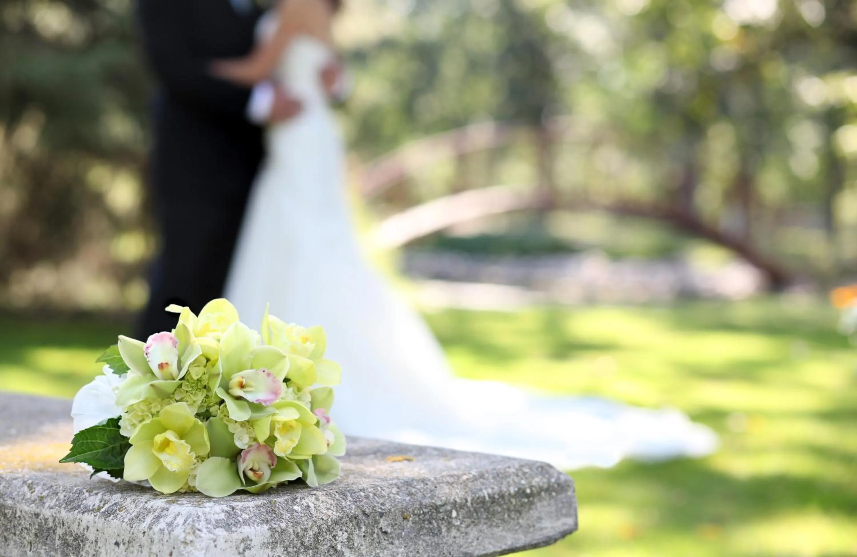Natural landscape in Country Inn & Suites by Radisson, Indianola, IA
