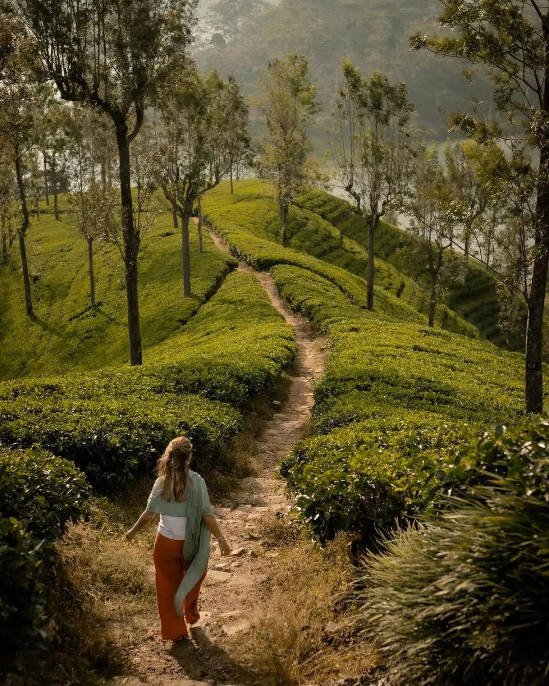 On site in The Farm Resorts