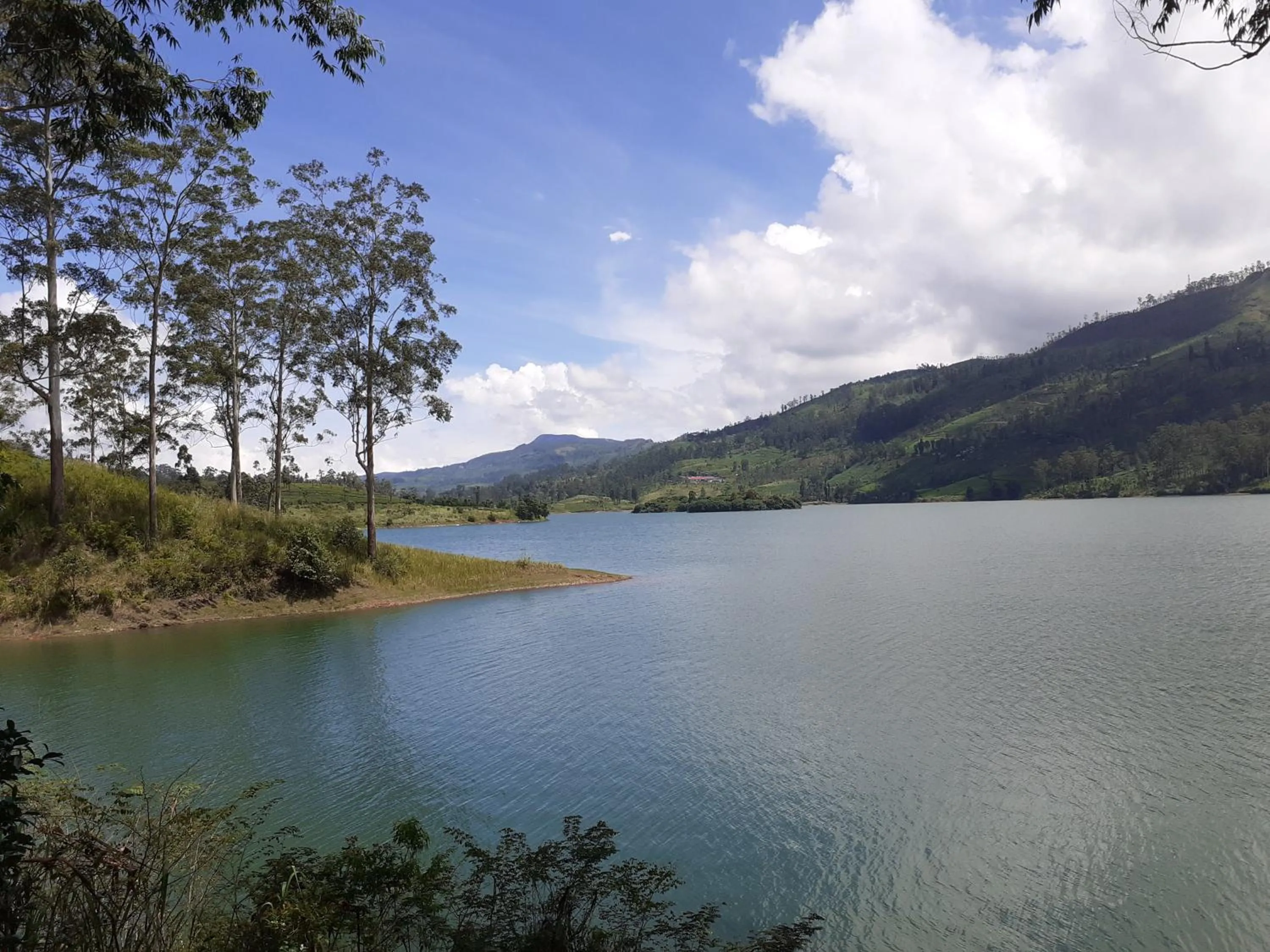 Natural landscape in The Farm Resorts