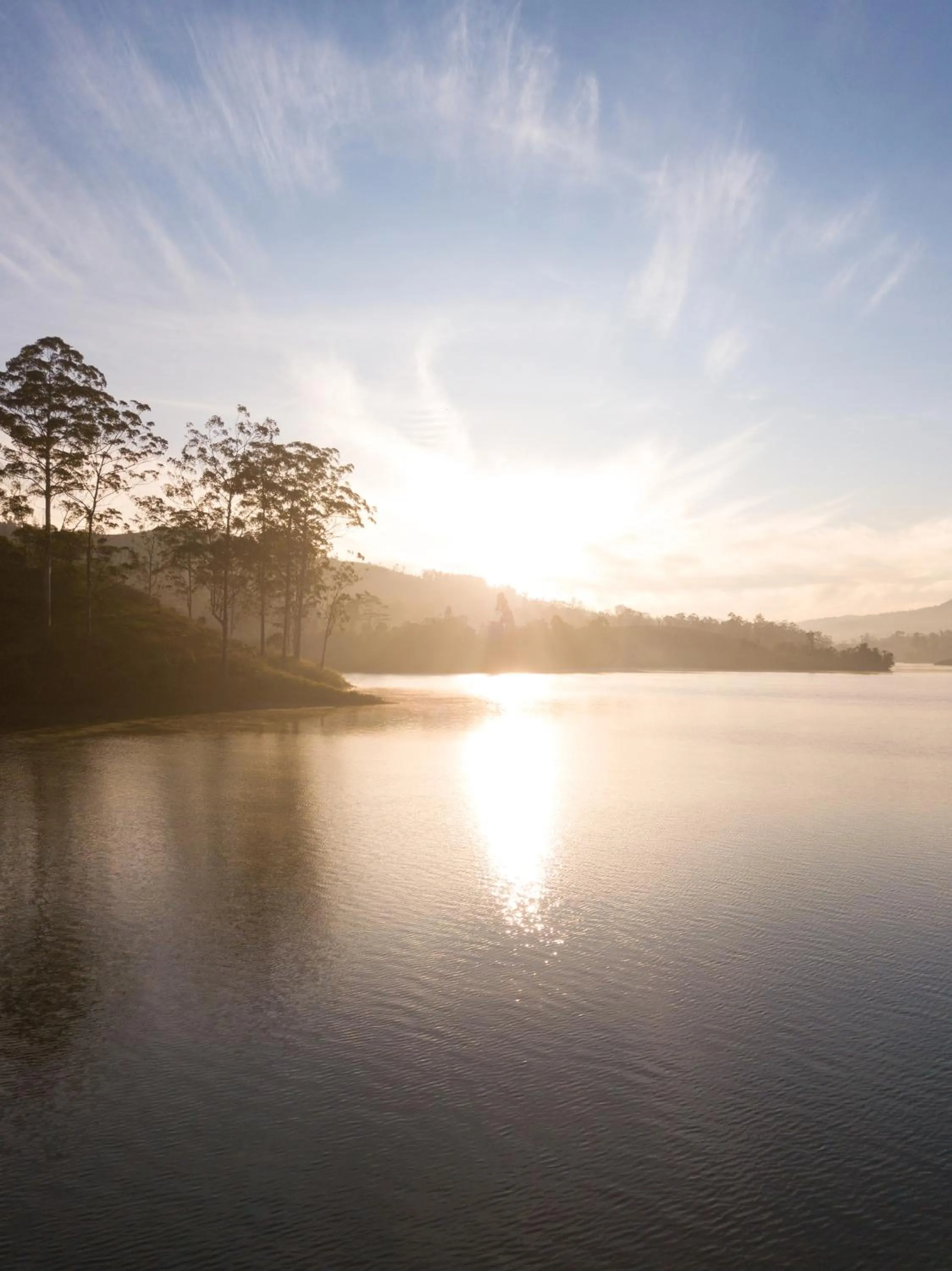 Natural landscape in The Farm Resorts