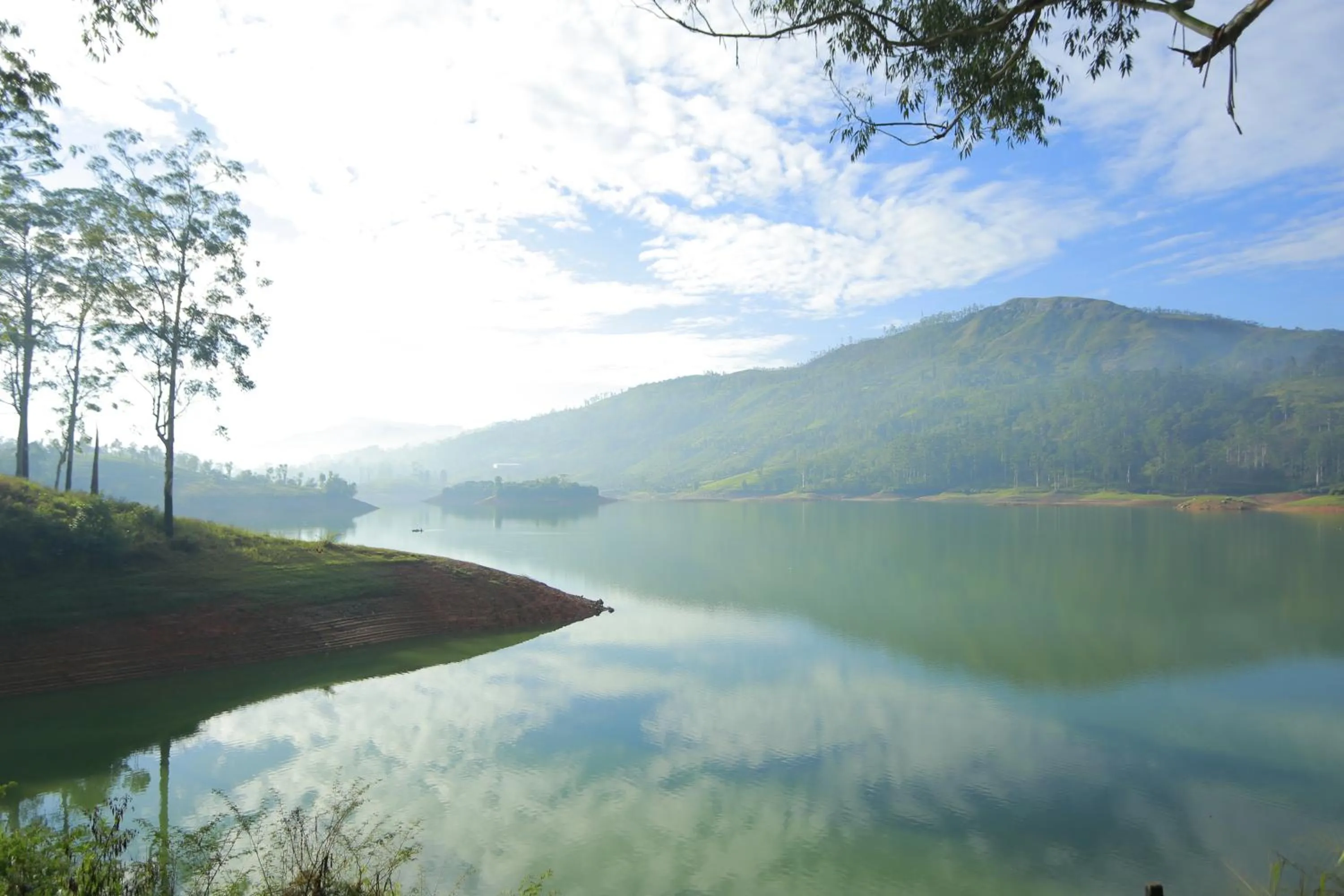 Natural landscape in The Farm Resorts