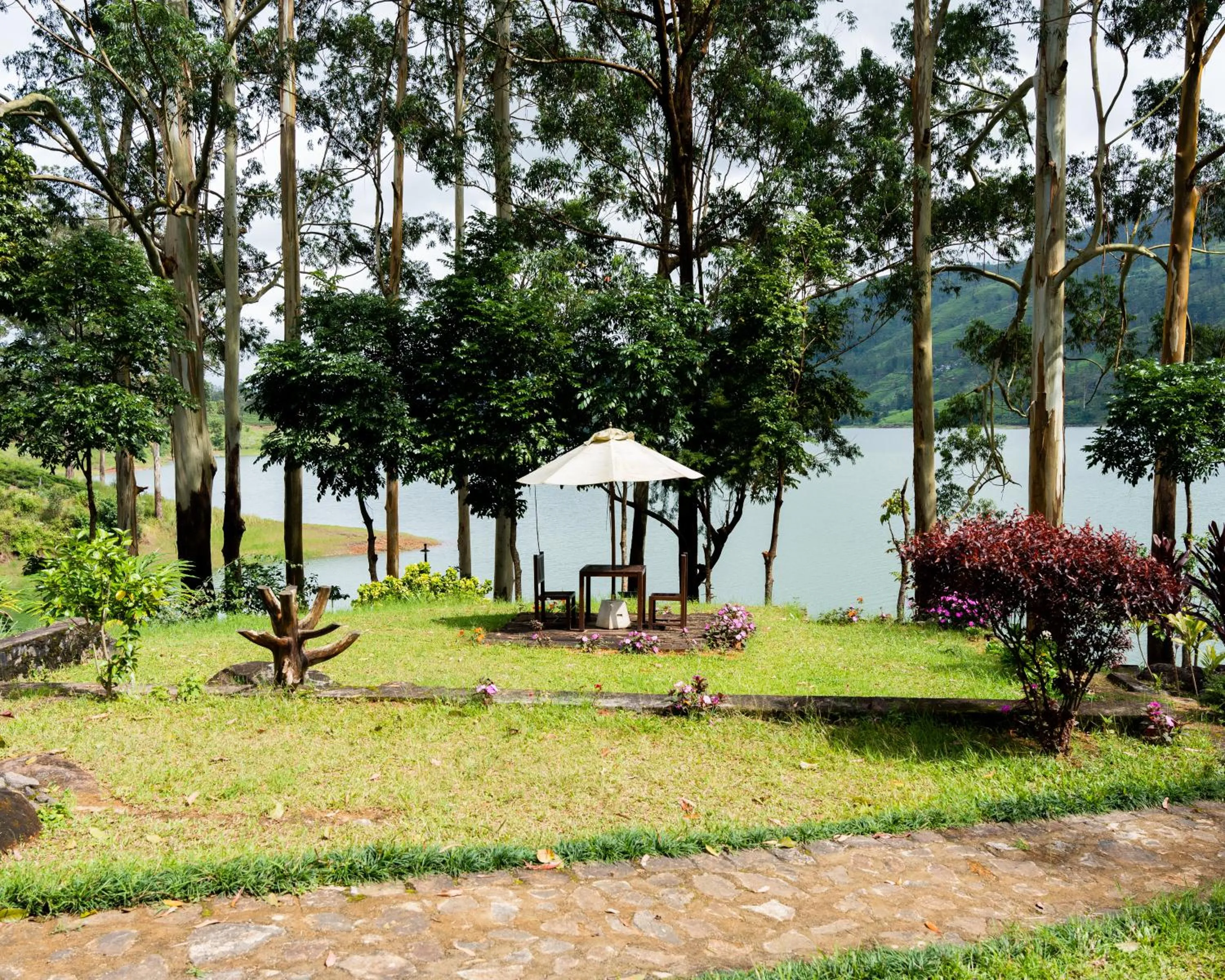 Natural landscape in The Farm Resorts