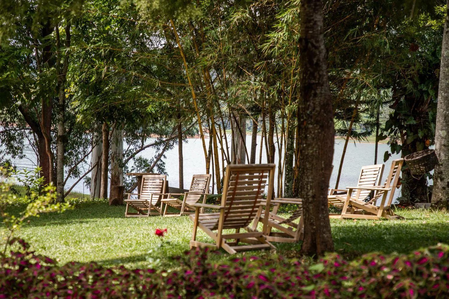 Garden in The Farm Resorts