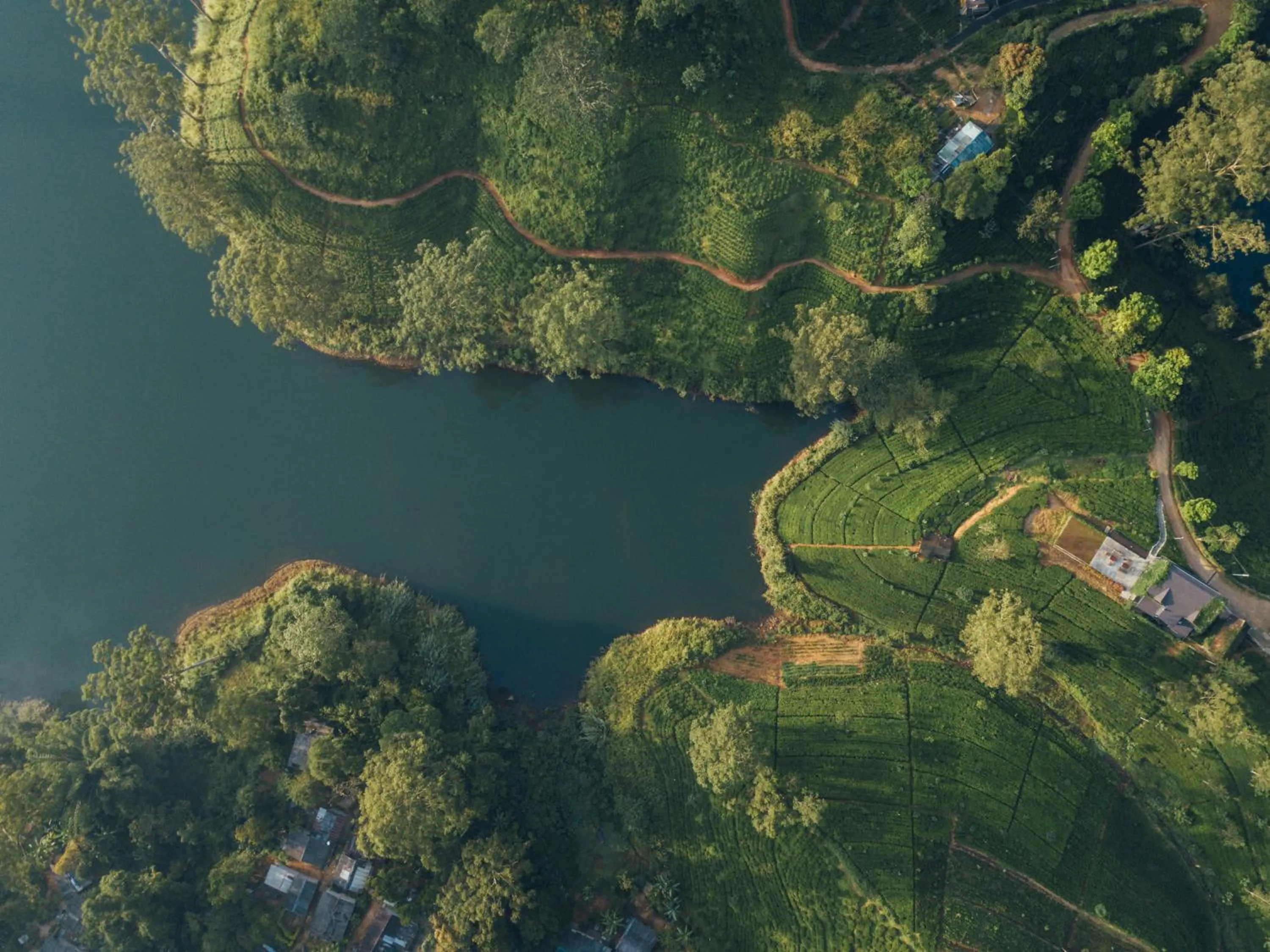 Natural landscape in The Farm Resorts