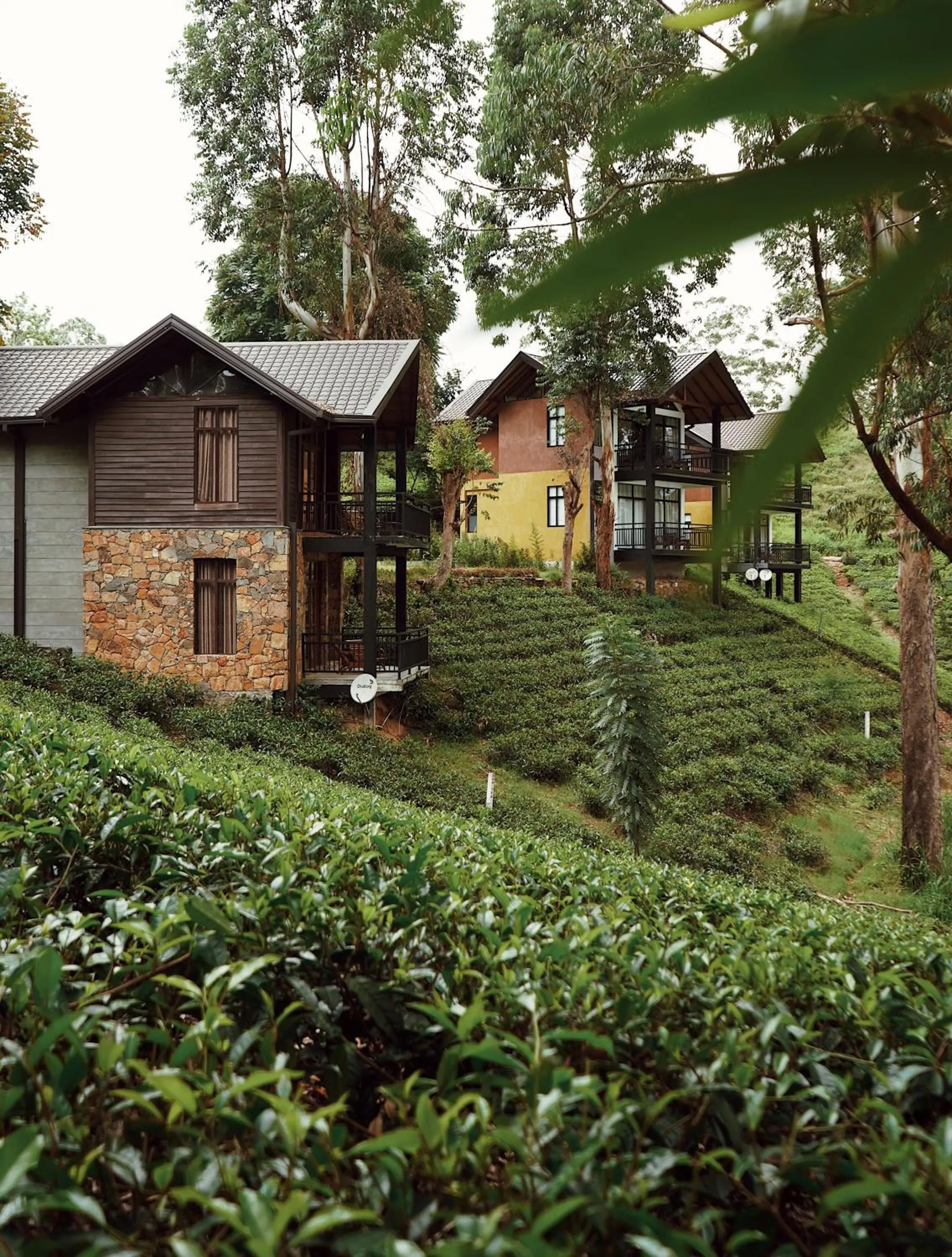 Property building in The Farm Resorts