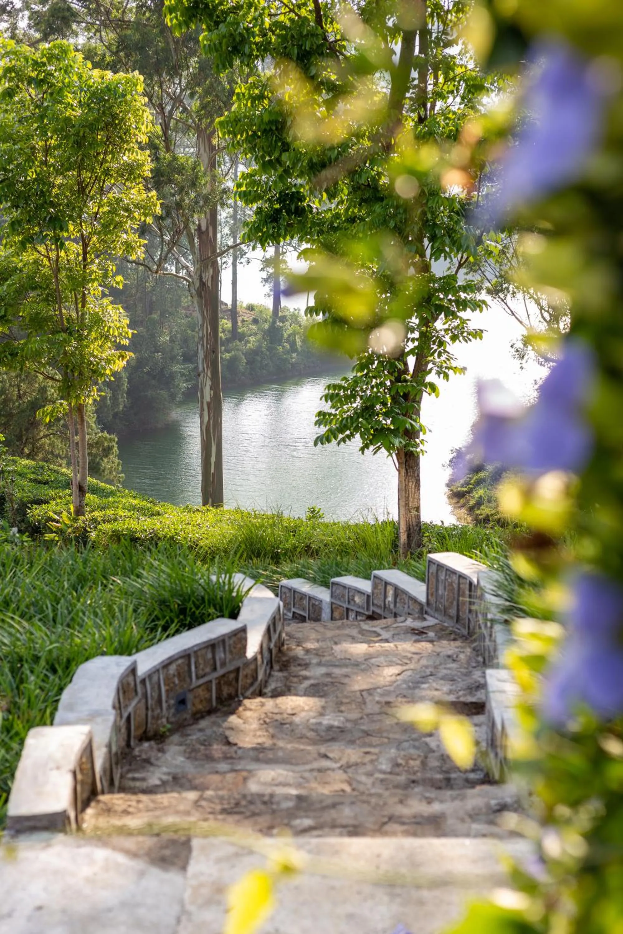 Garden in The Farm Resorts