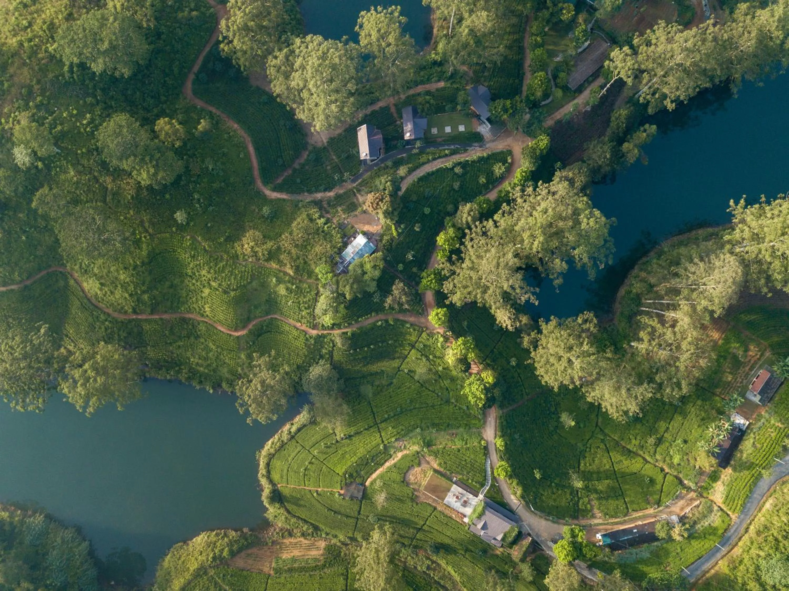Bird's eye view in The Farm Resorts