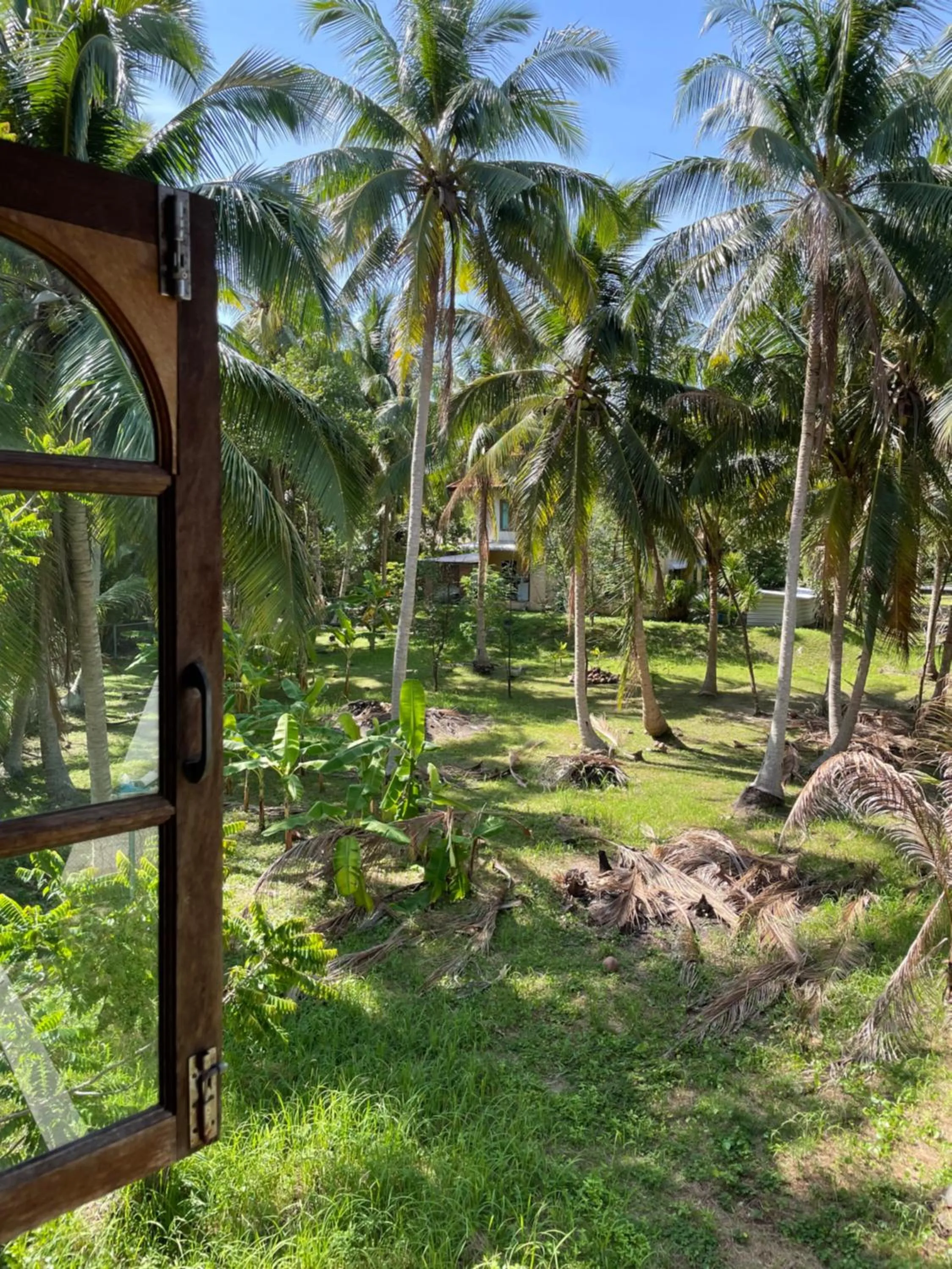 View (from property/room) in Mythai Guesthouse