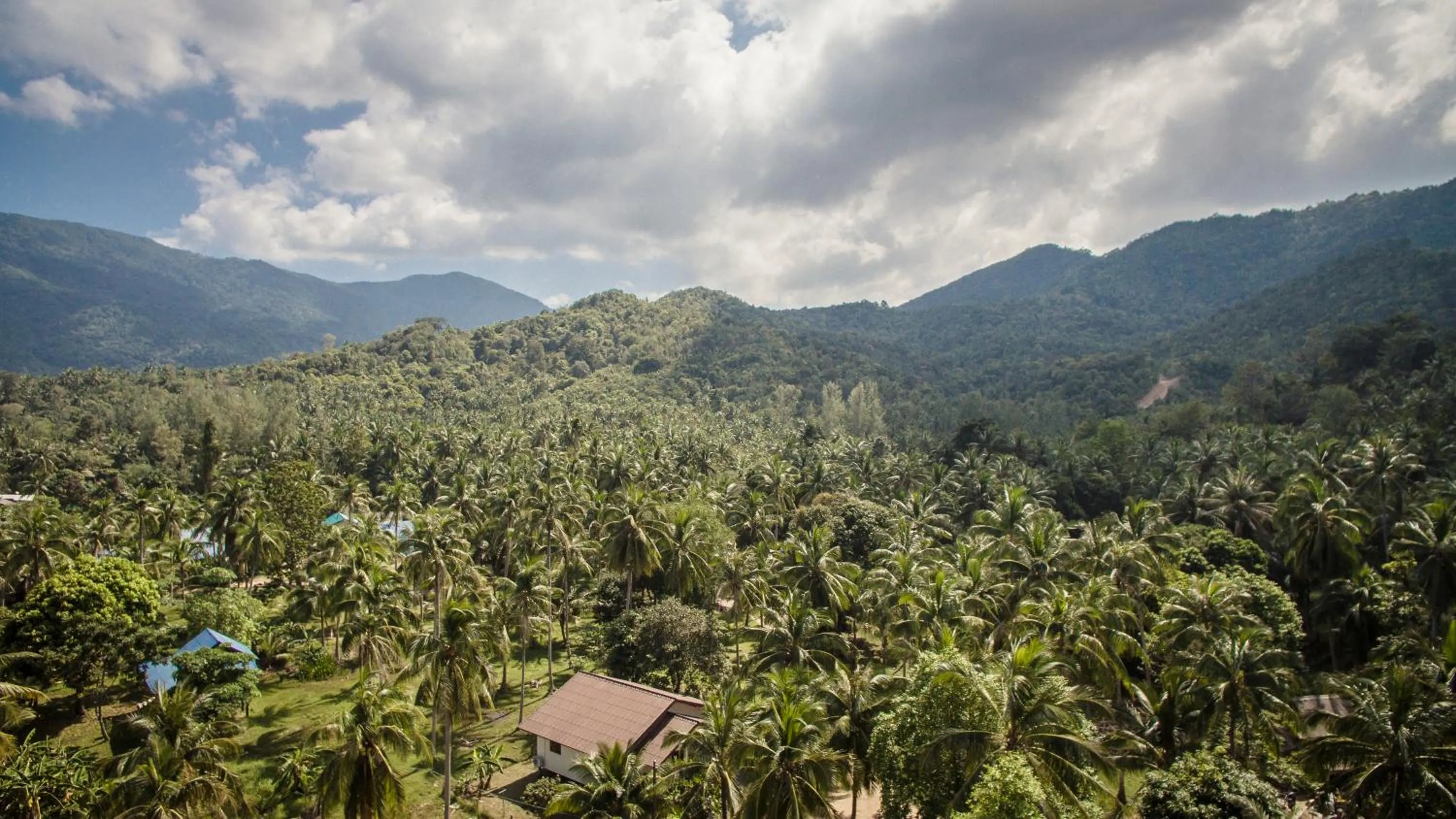 Neighbourhood in Mythai Guesthouse