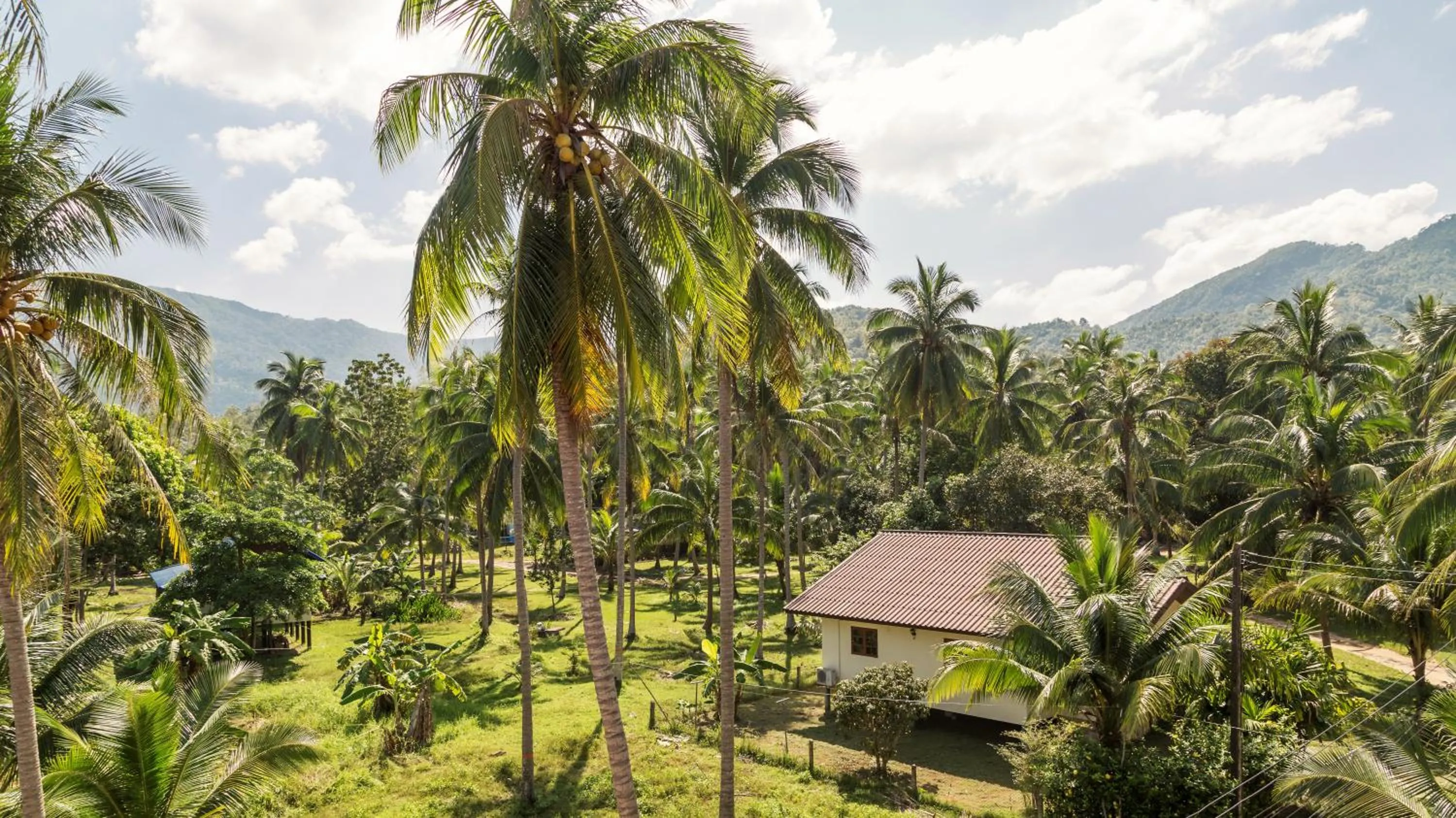 View (from property/room) in Mythai Guesthouse