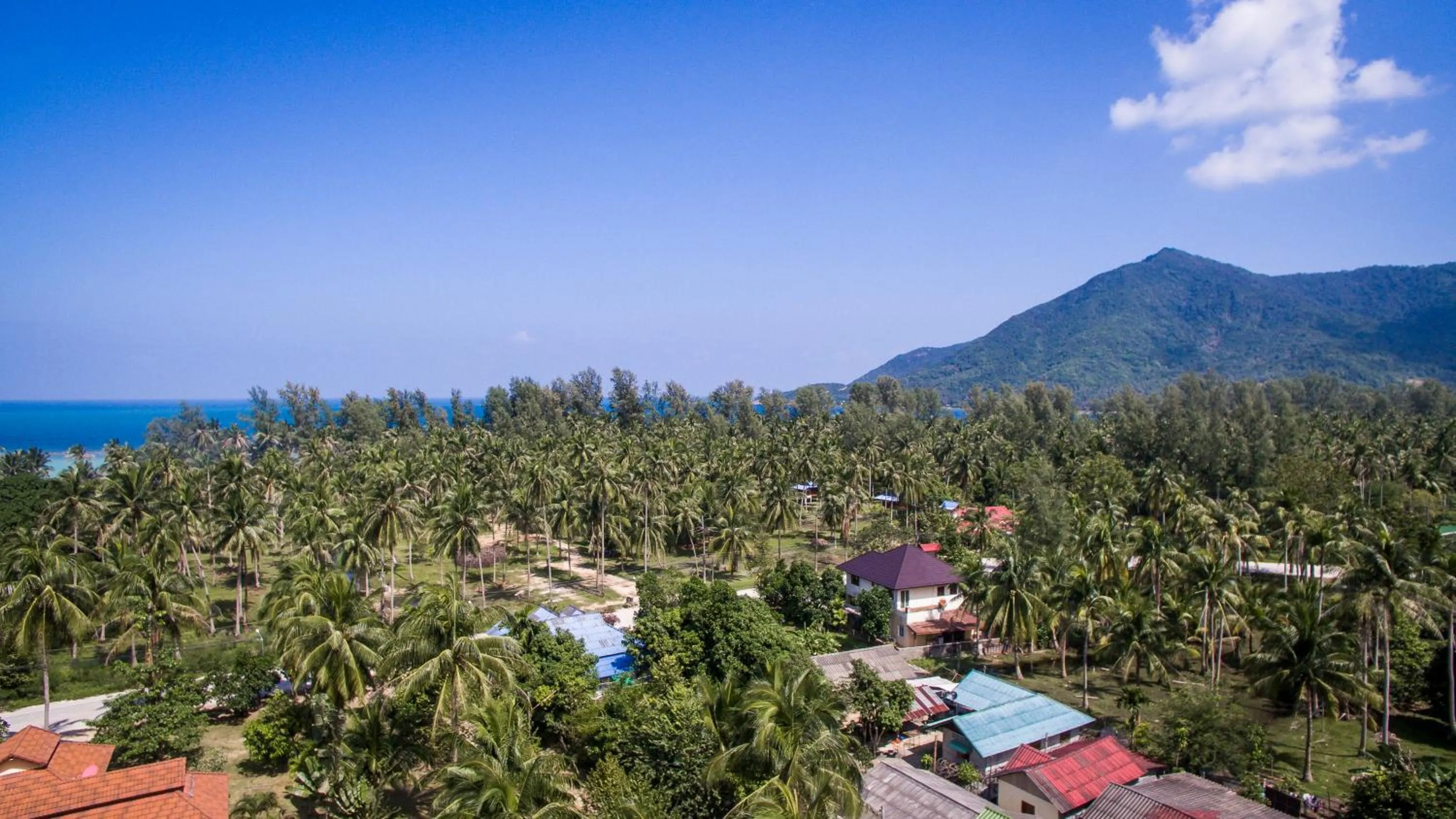 Neighbourhood in Mythai Guesthouse