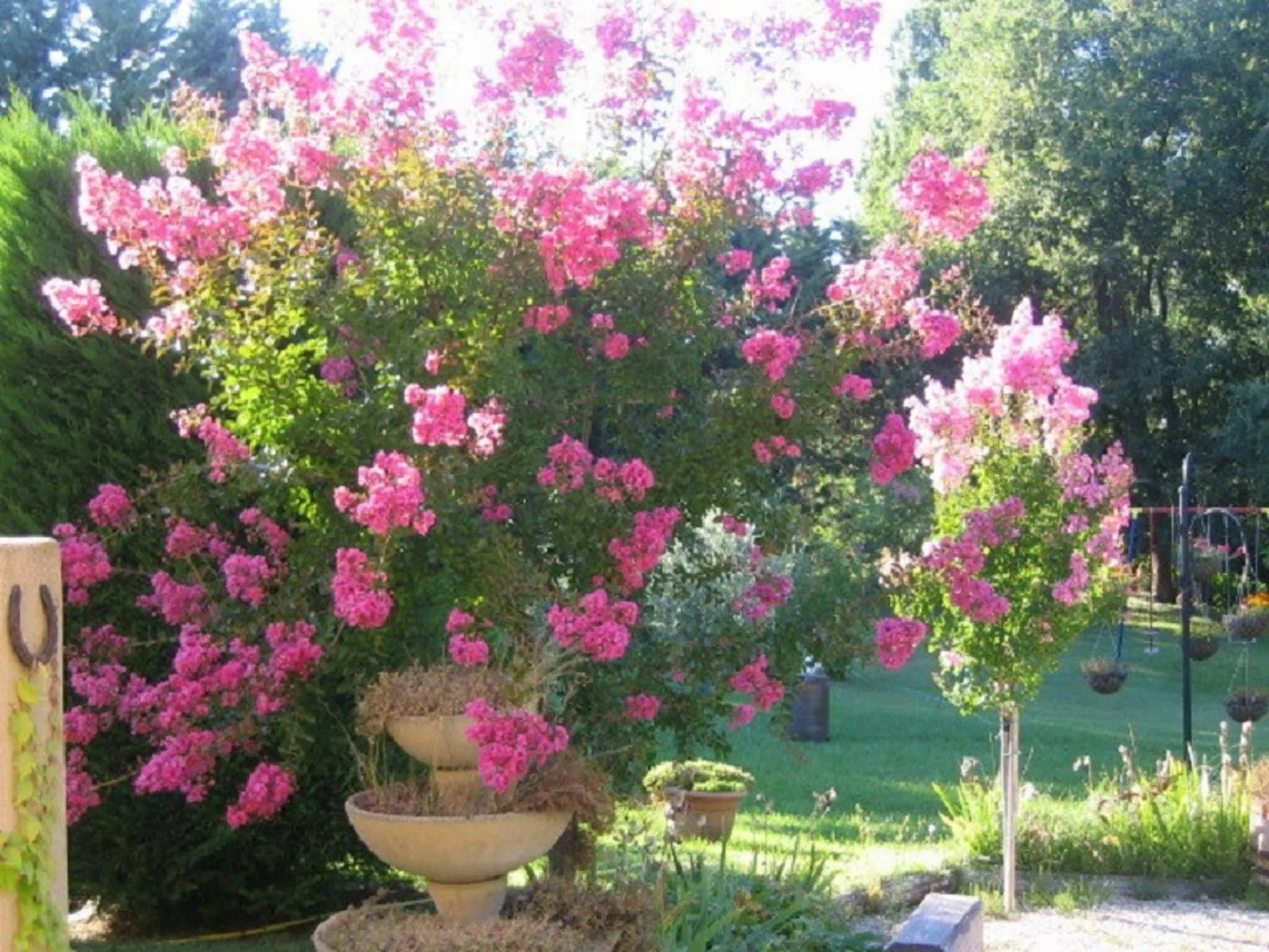 Garden in Le Rieufroid