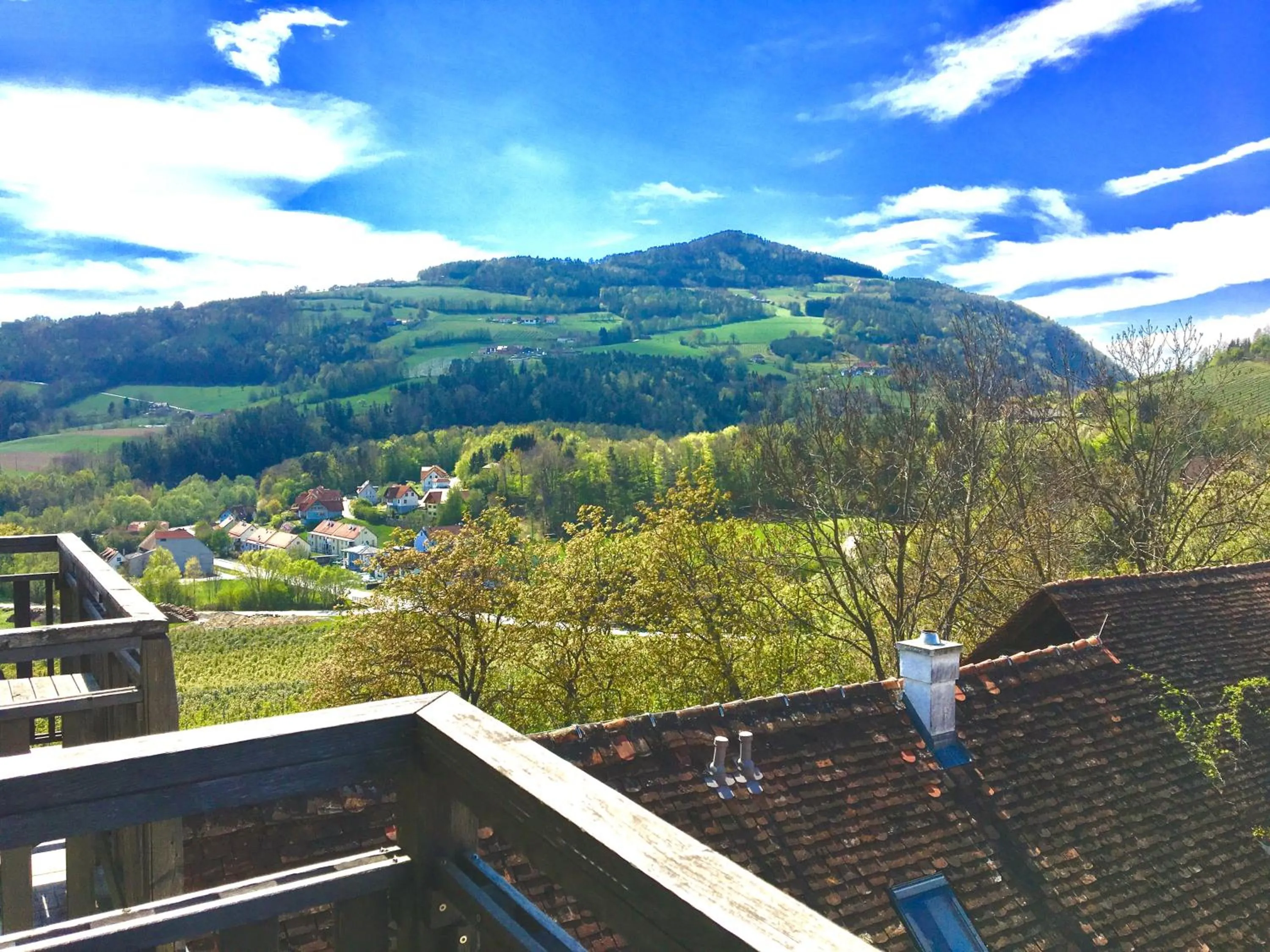 Mountain view in Apfelwirt