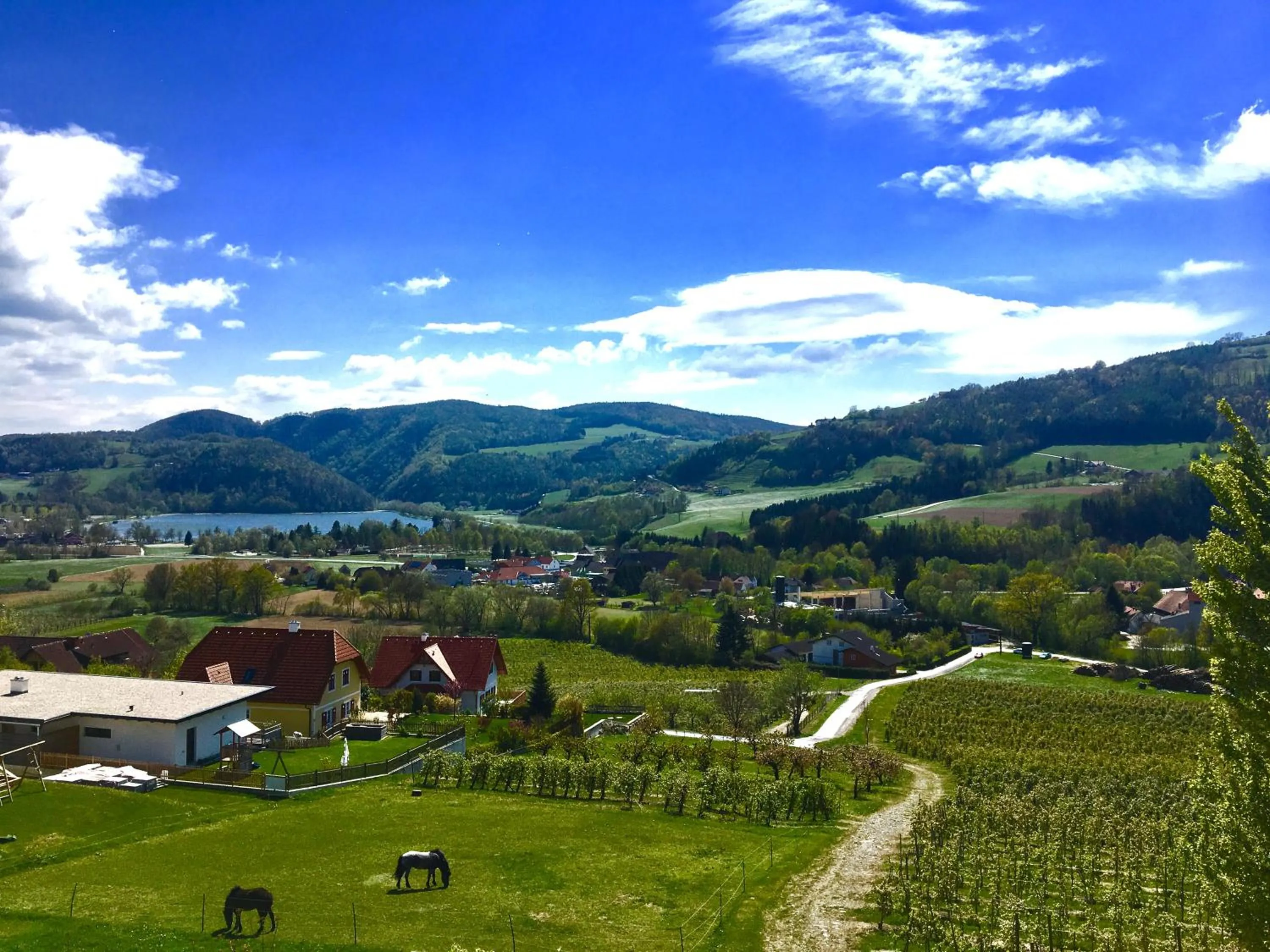 Garden view in Apfelwirt
