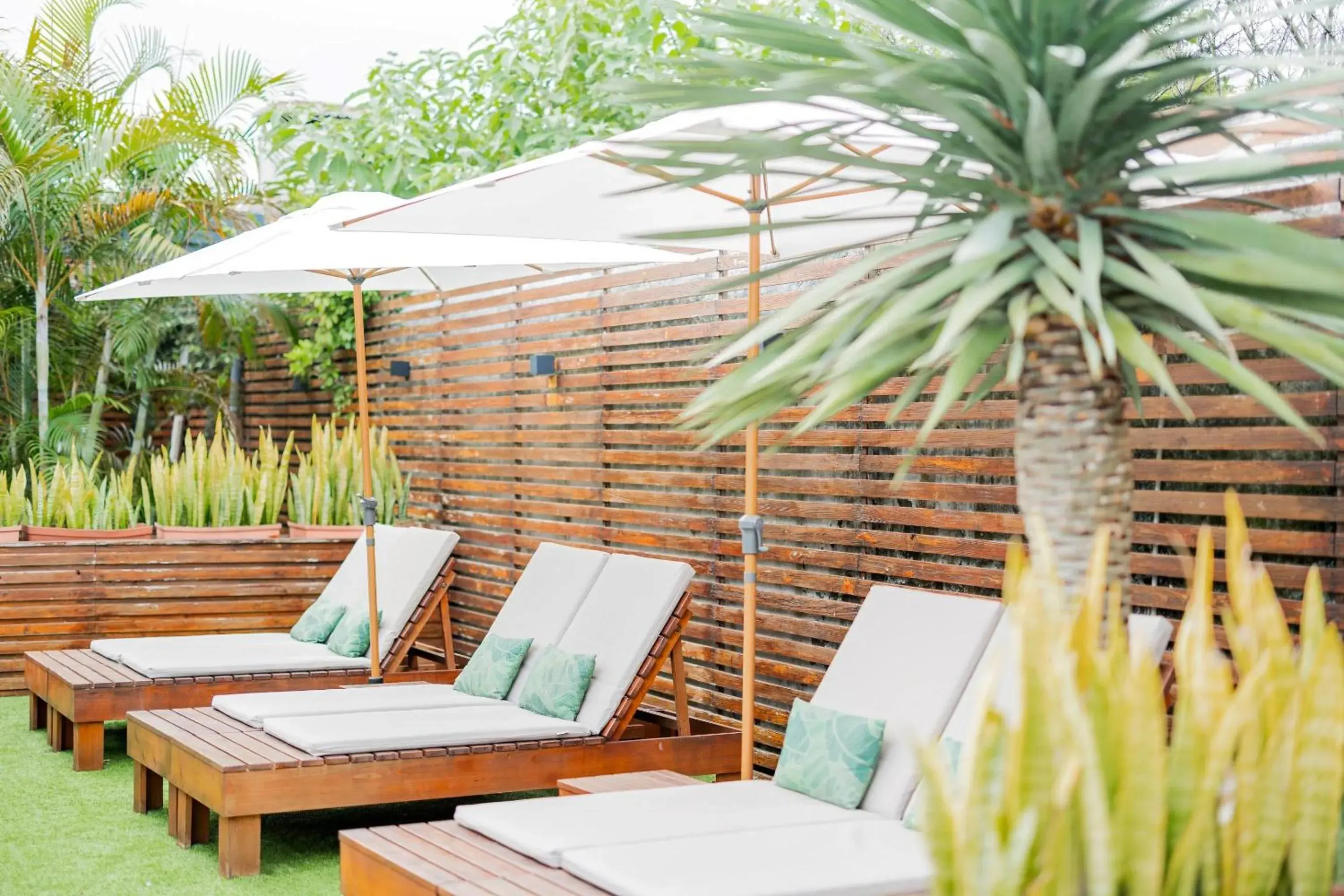 Swimming pool in Casa do Contador - Suites & Pool Swimming pool in Casa do Contador - Suites & Pool