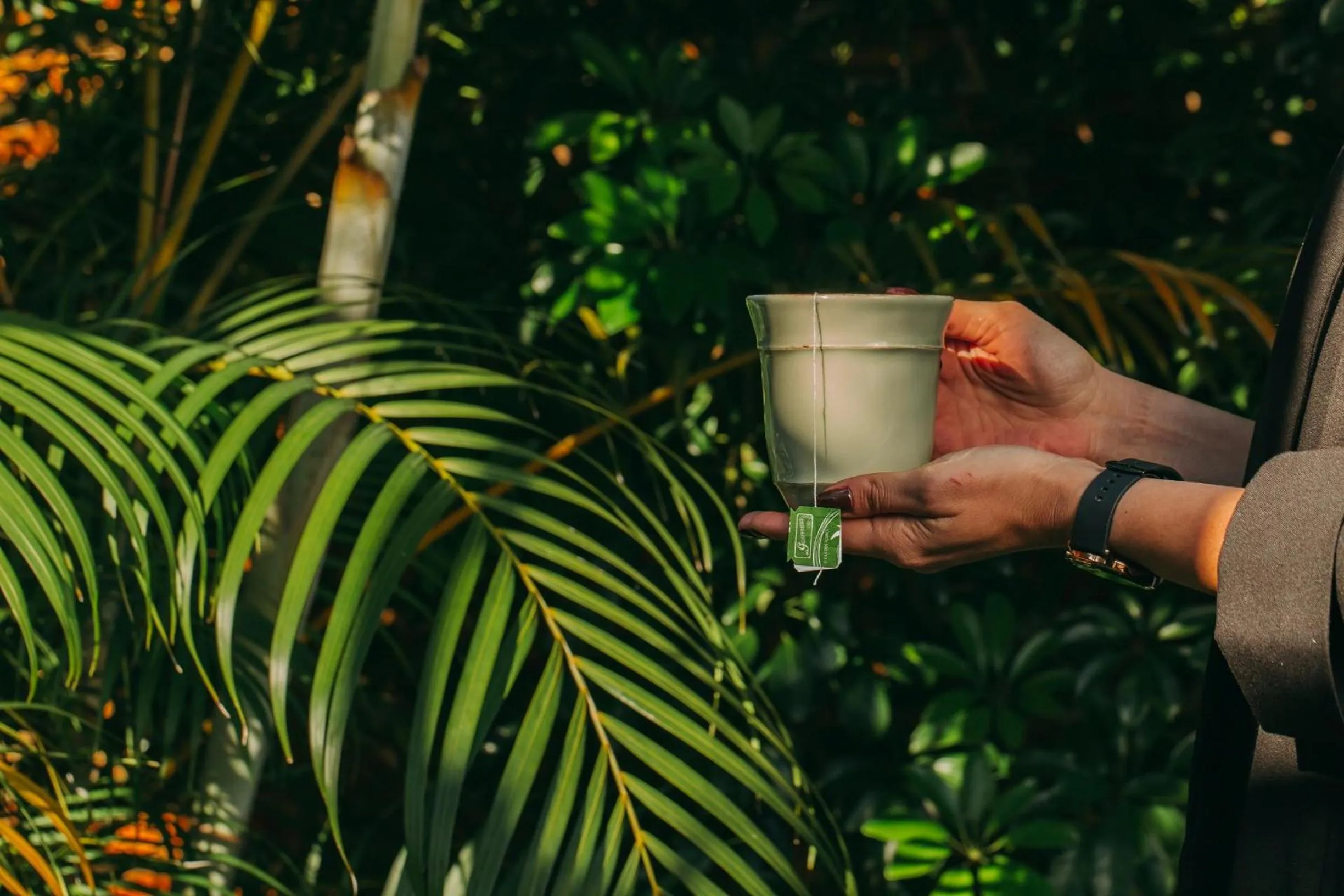 Food and drinks in Casa do Contador - Suites & Pool