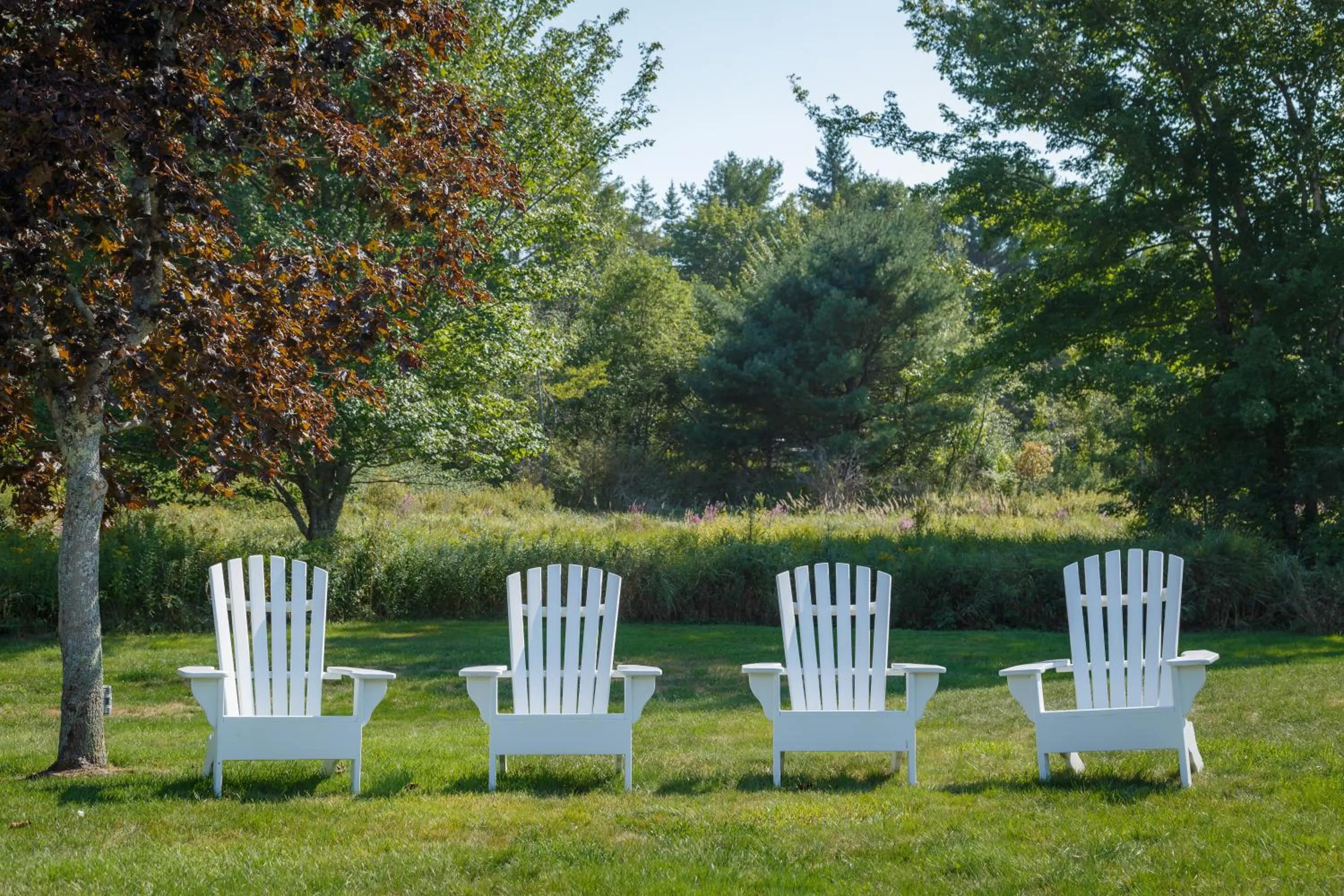 Garden in Flagship Inn