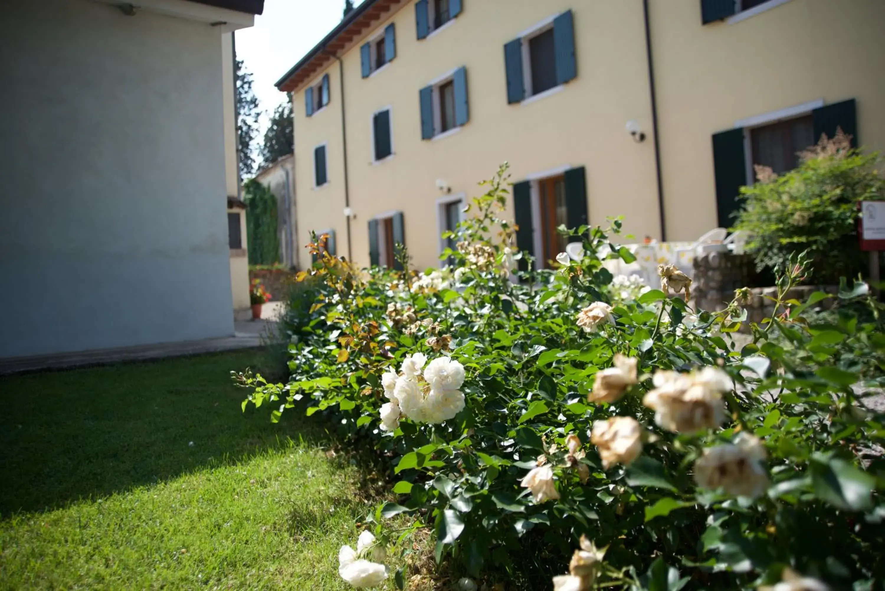 Agriturismo Albarello Agriturismo Albarello
