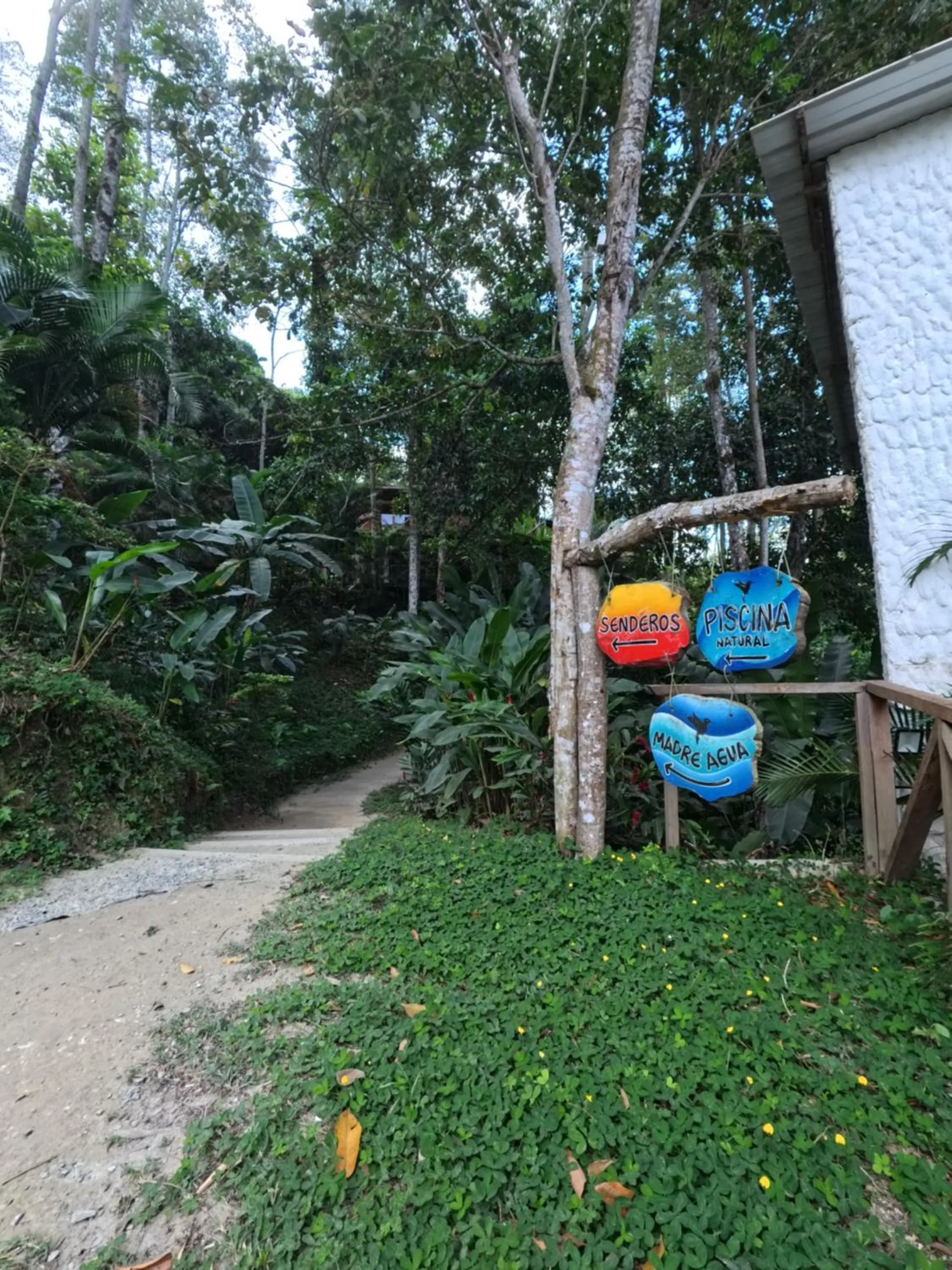 Colores de la Sierra