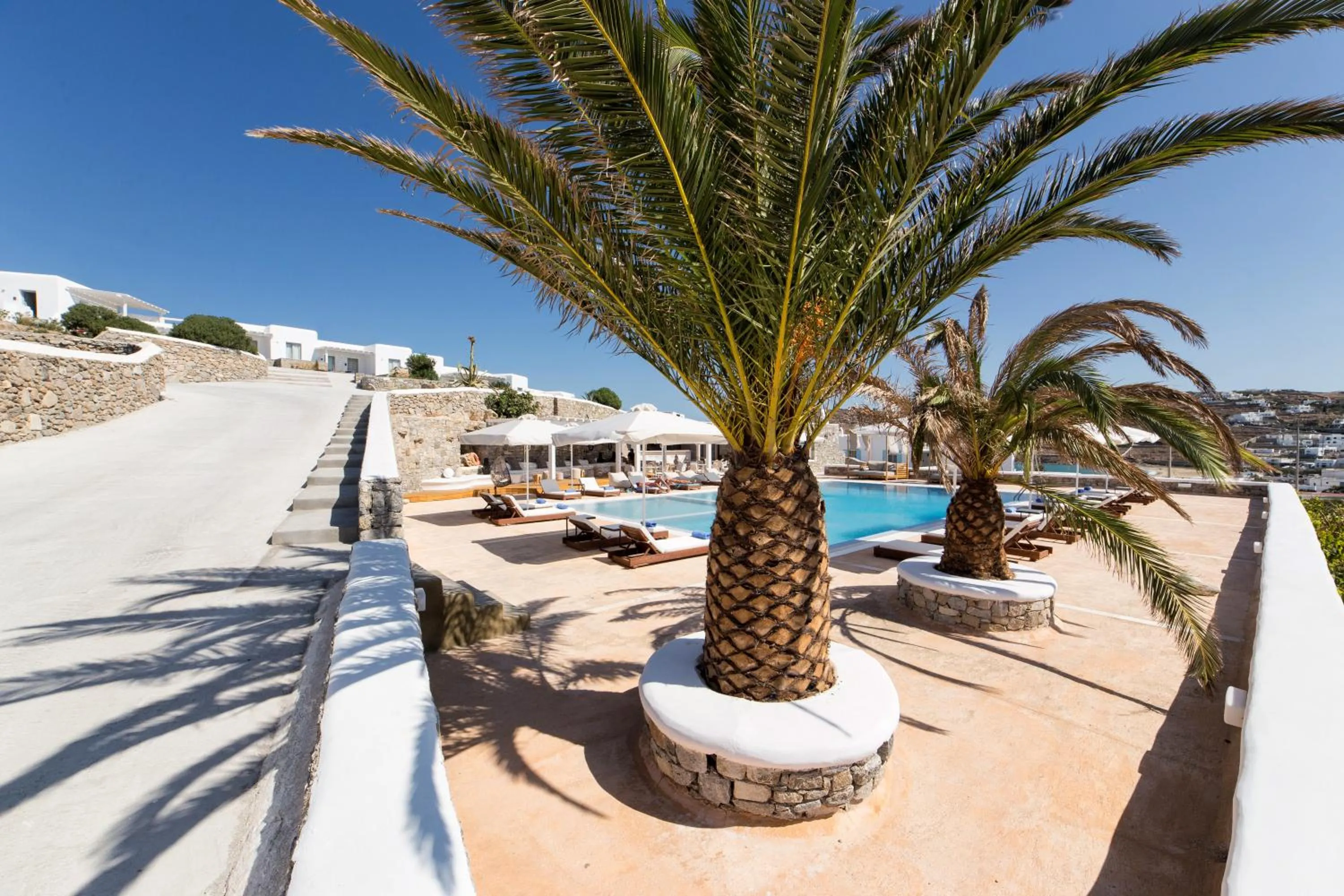 Swimming pool in Osom Resort