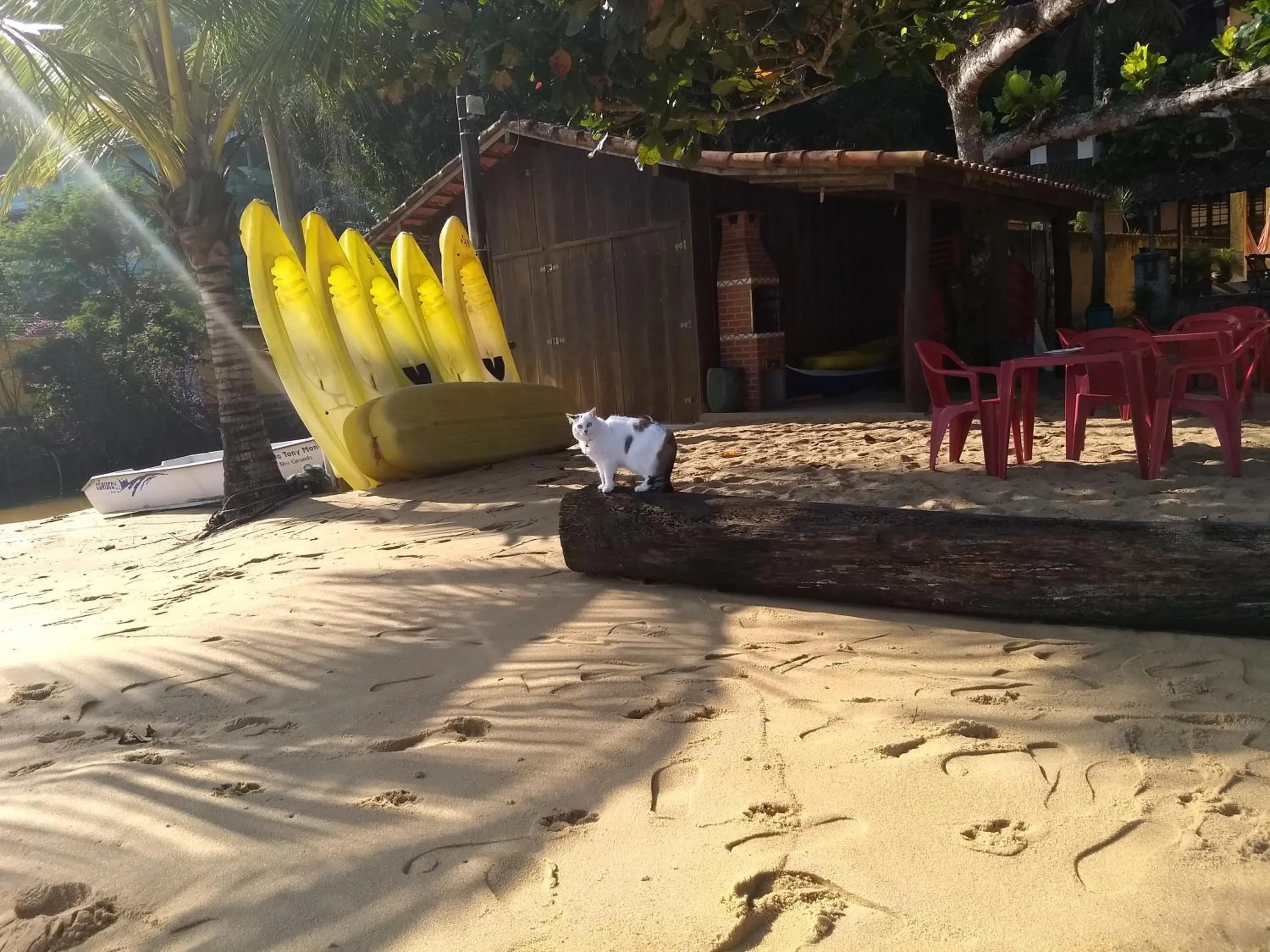 BBQ facilities in Pousada Tony Montana